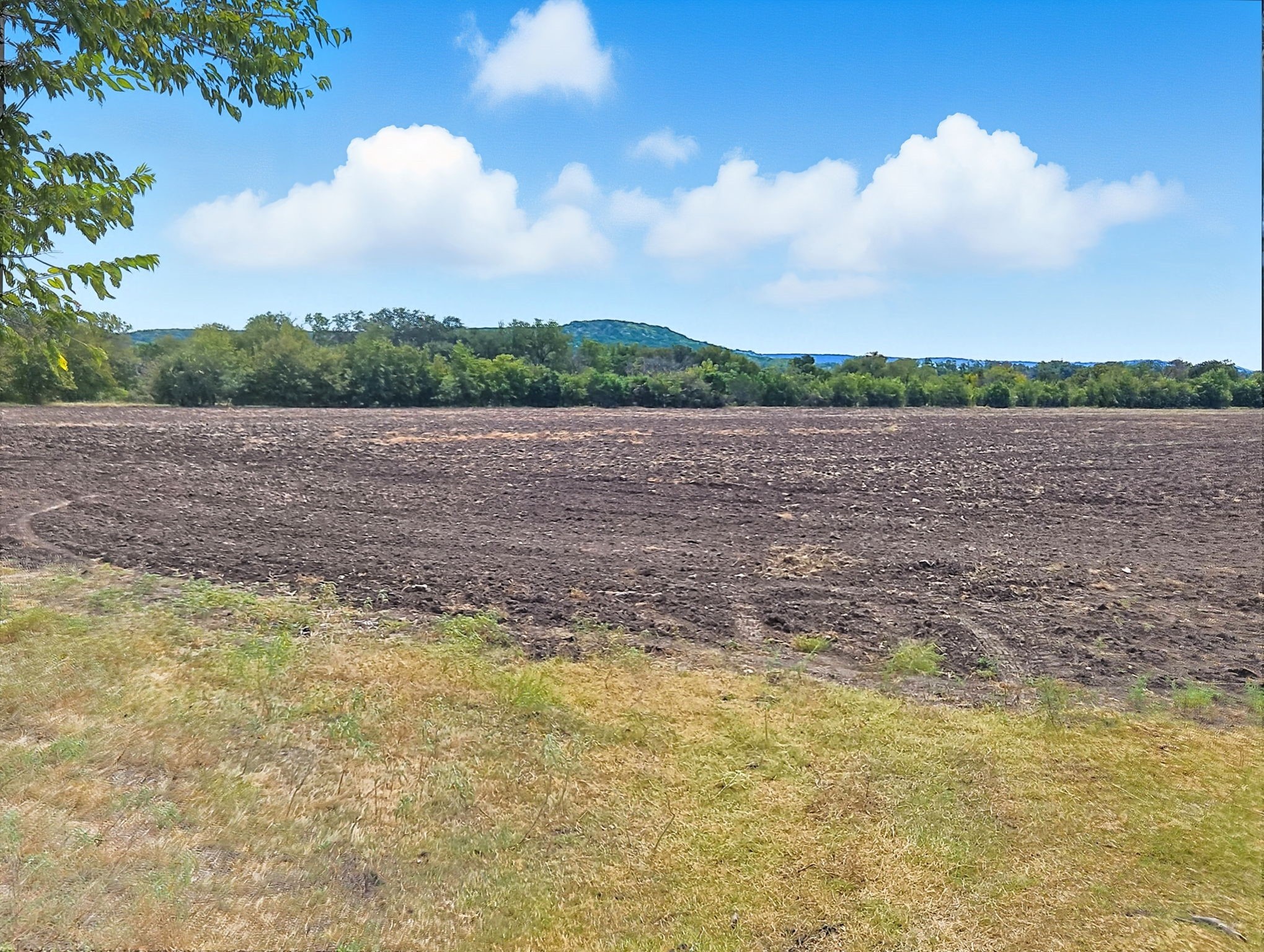 Tdb 482 Acres W Fm 217 Jonesboro TX 76538