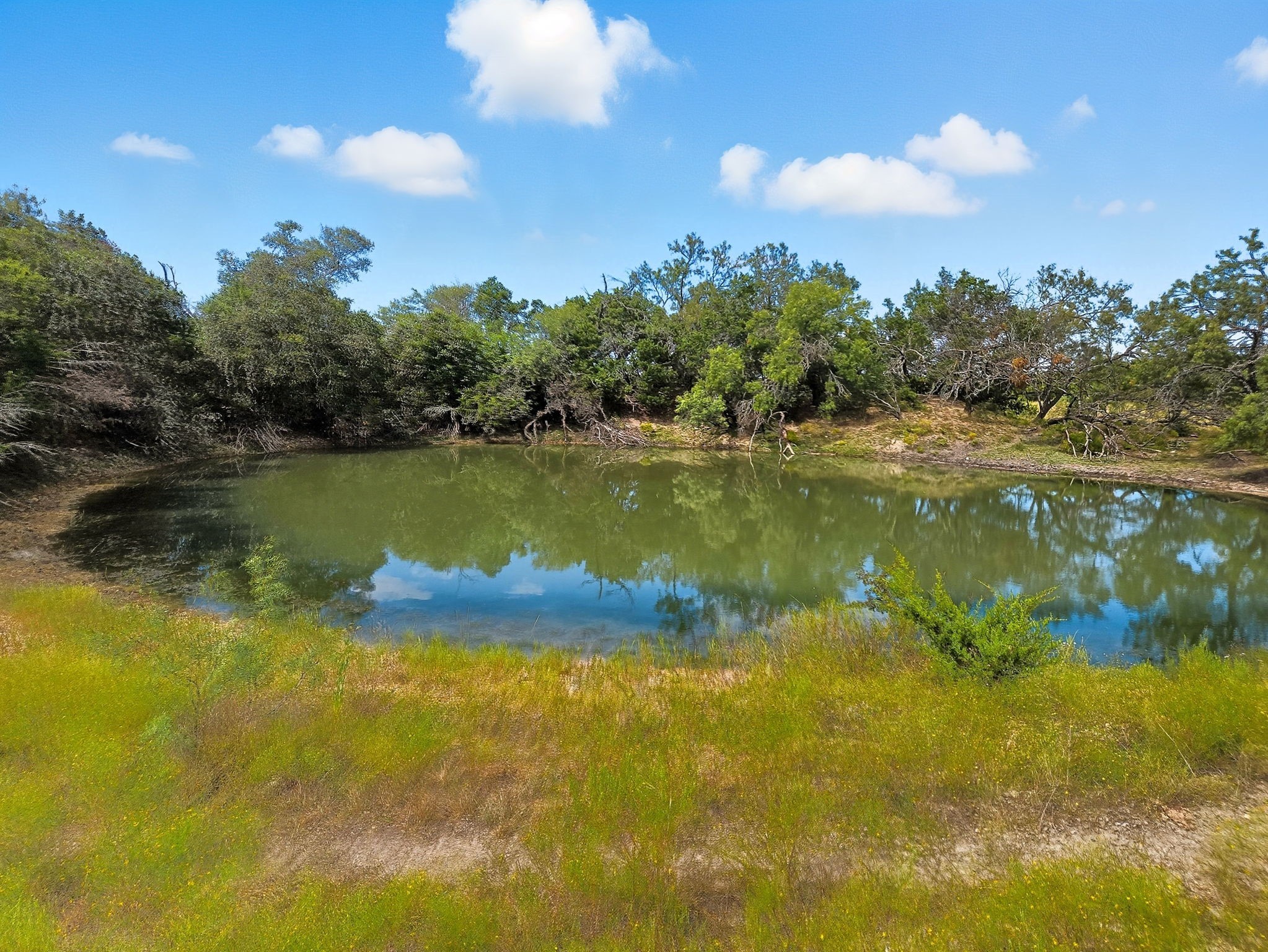 Tdb 482 Acres W Fm 217 Jonesboro TX 76538