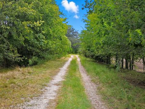 Tdb 482 Acres W Fm 217 Jonesboro TX 76538