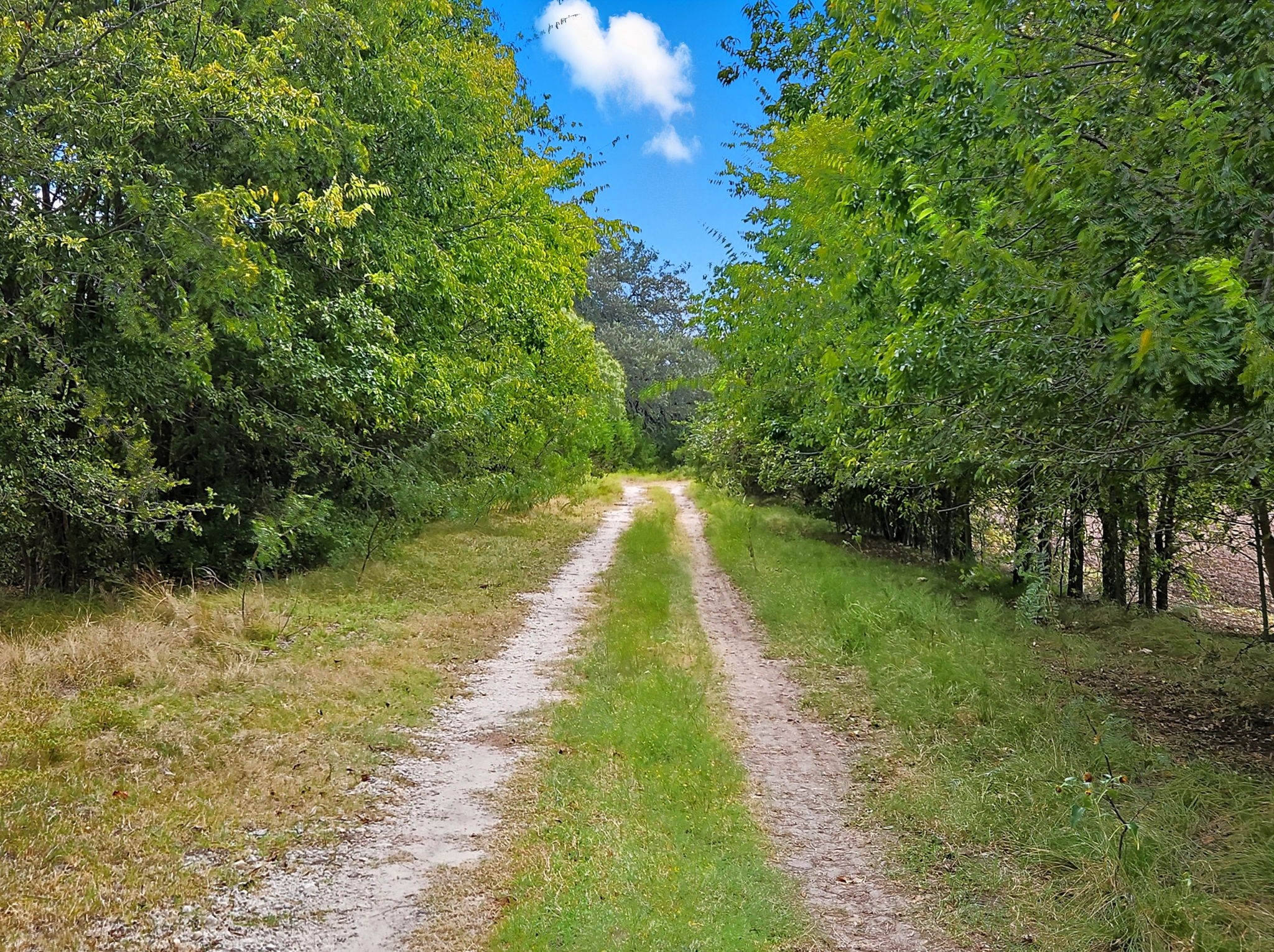 Tdb 482 Acres W Fm 217 Jonesboro TX 76538