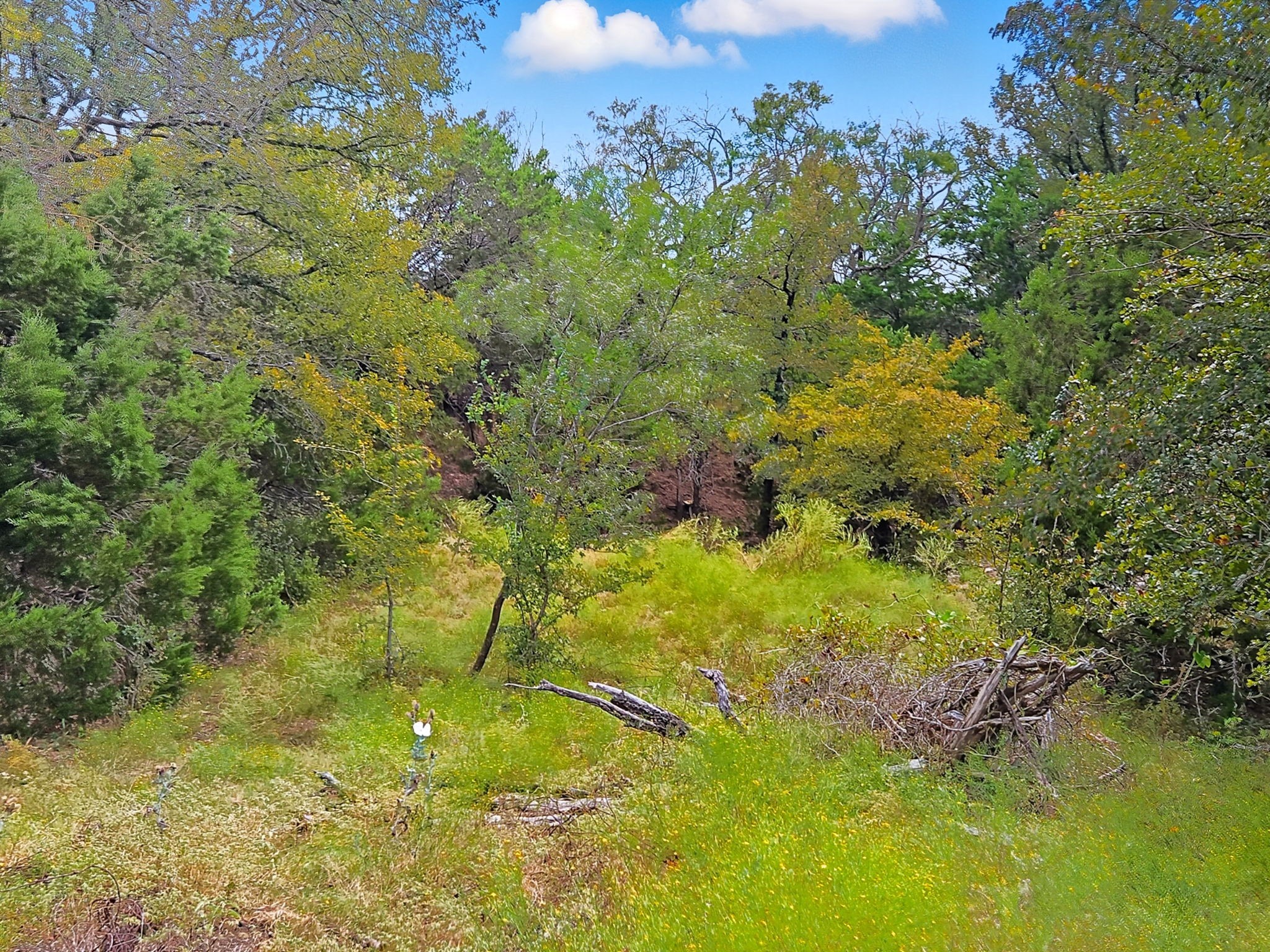 Tdb 482 Acres W Fm 217 Jonesboro TX 76538