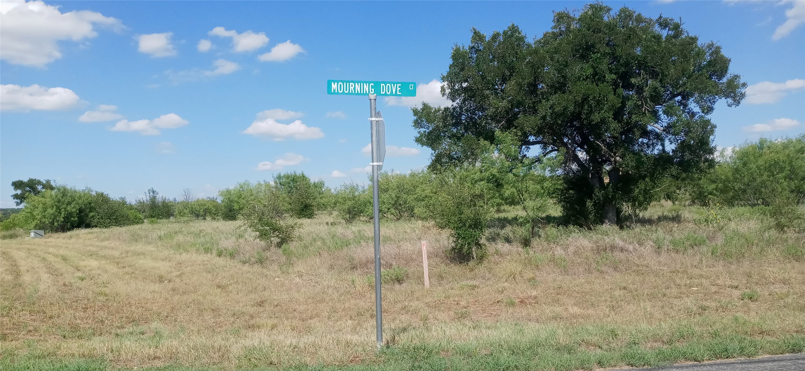 Lot 52 Mourning Dove Court Graford TX 76449