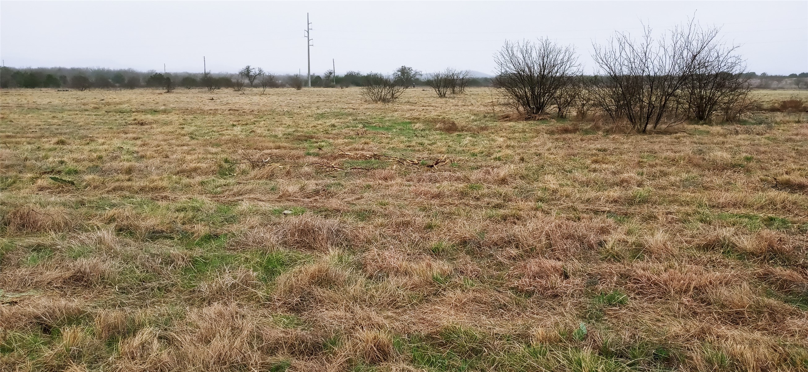 Lot 52 Mourning Dove Court Graford TX 76449