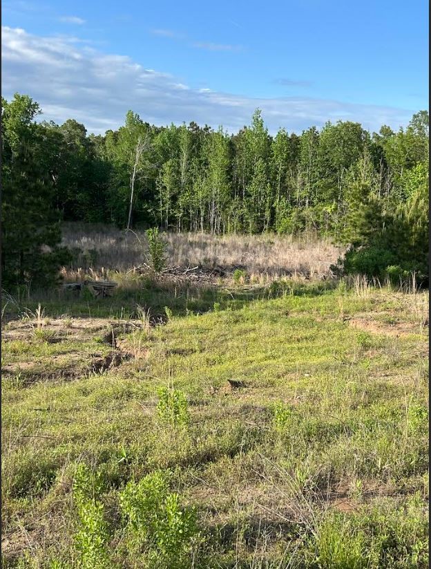 00 Grand Cane Fire Tower Road Grand Cane LA 71032