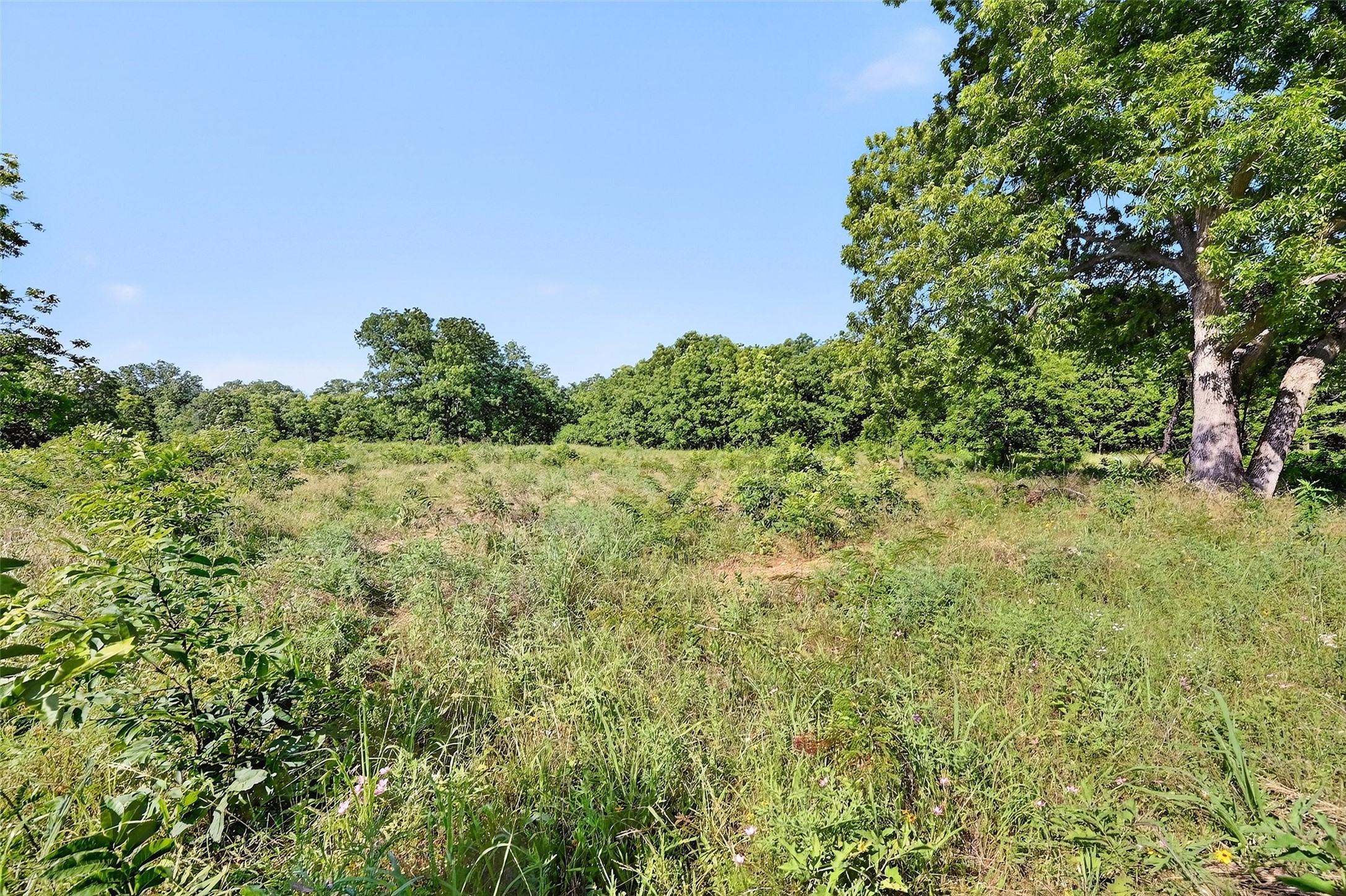 000 Fm-2383 Whitesboro TX 76273