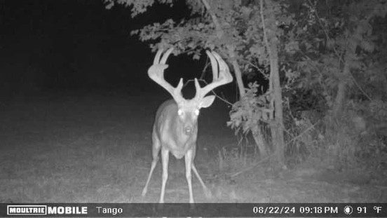 000 Fm-2383 Whitesboro TX 76273