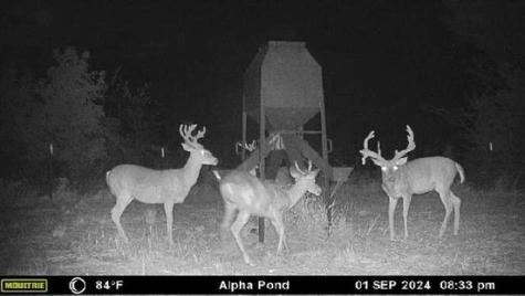 000 Fm-2383 Whitesboro TX 76273
