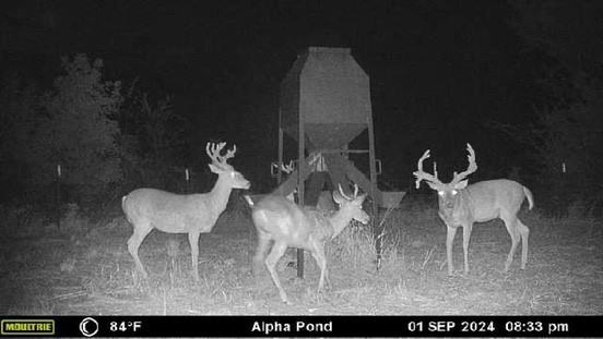 000 Fm-2383 Whitesboro TX 76273
