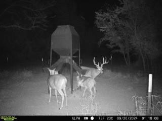 000 Fm-2383 Whitesboro TX 76273
