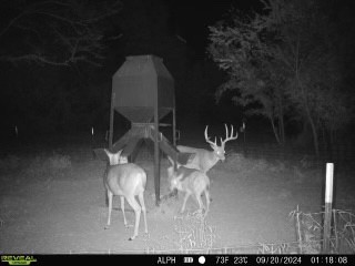 000 Fm-2383 Whitesboro TX 76273