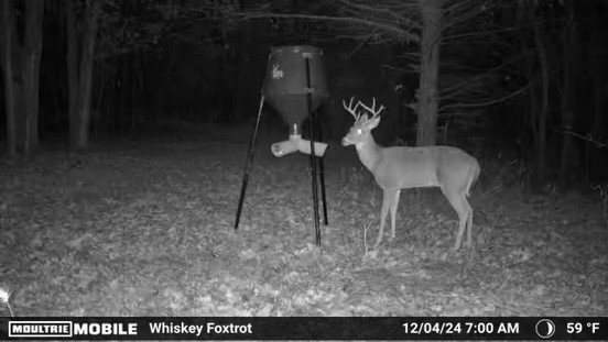 000 Fm-2383 Whitesboro TX 76273