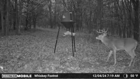 0 FM-2383 Whitesboro TX 76273