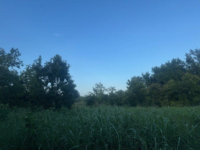 Tbd Fm 1512 Groesbeck TX 76642