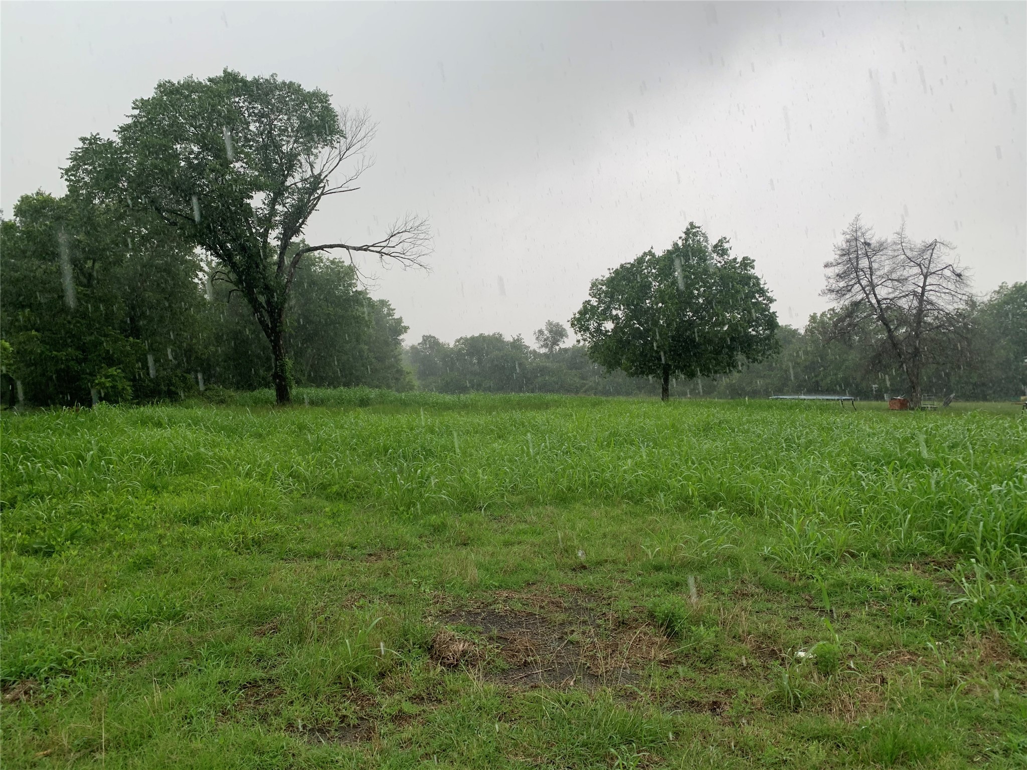 Tbd W Trinity Street Groesbeck TX 76642