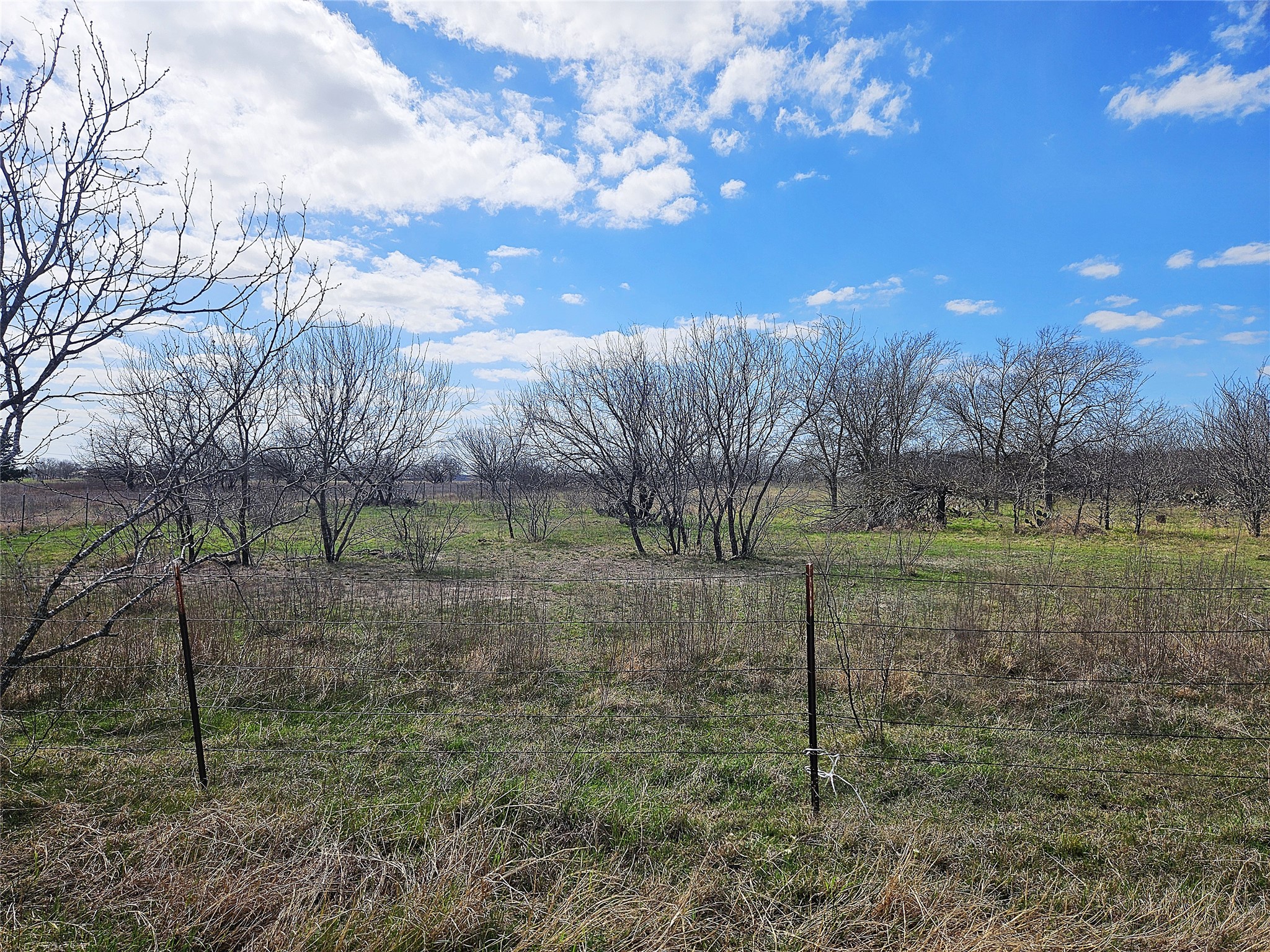 5.05 Acres Fm 339 Groesbeck TX 76642