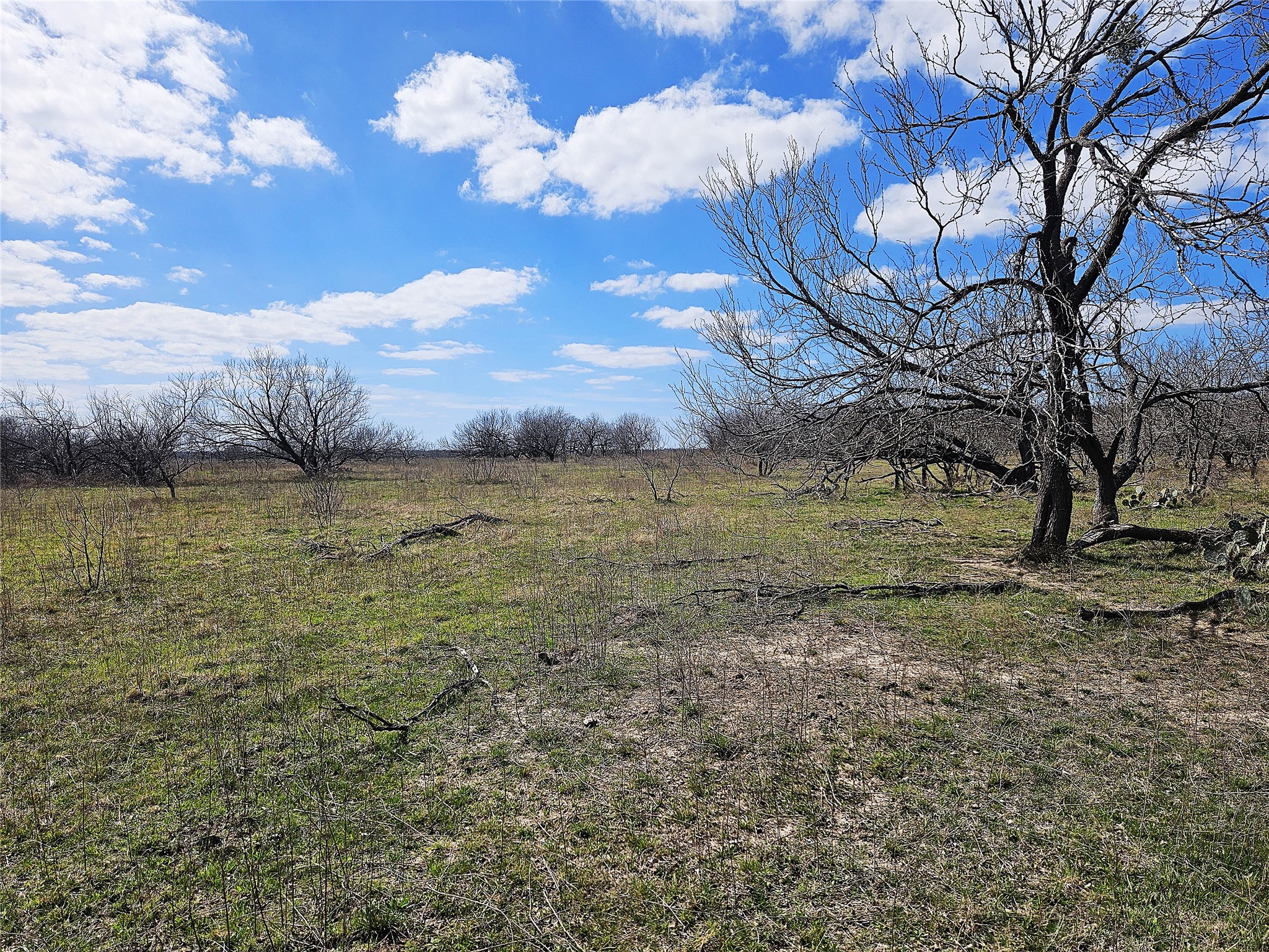 5.05 Acres Fm 339 Groesbeck TX 76642