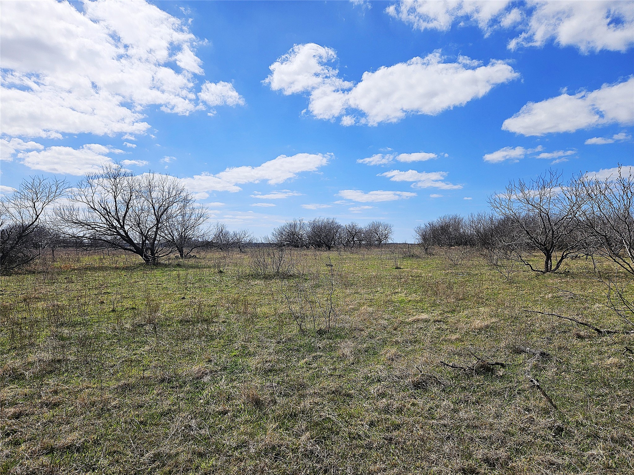 5.05 Acres Fm 339 Groesbeck TX 76642