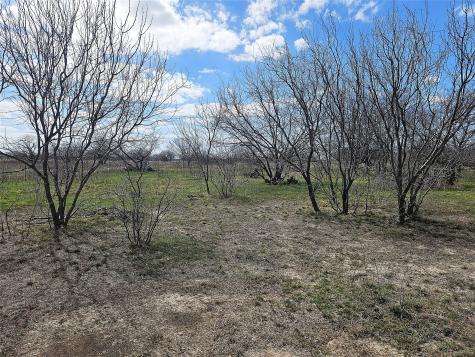 5.05 Acres Fm 339 Groesbeck TX 76642