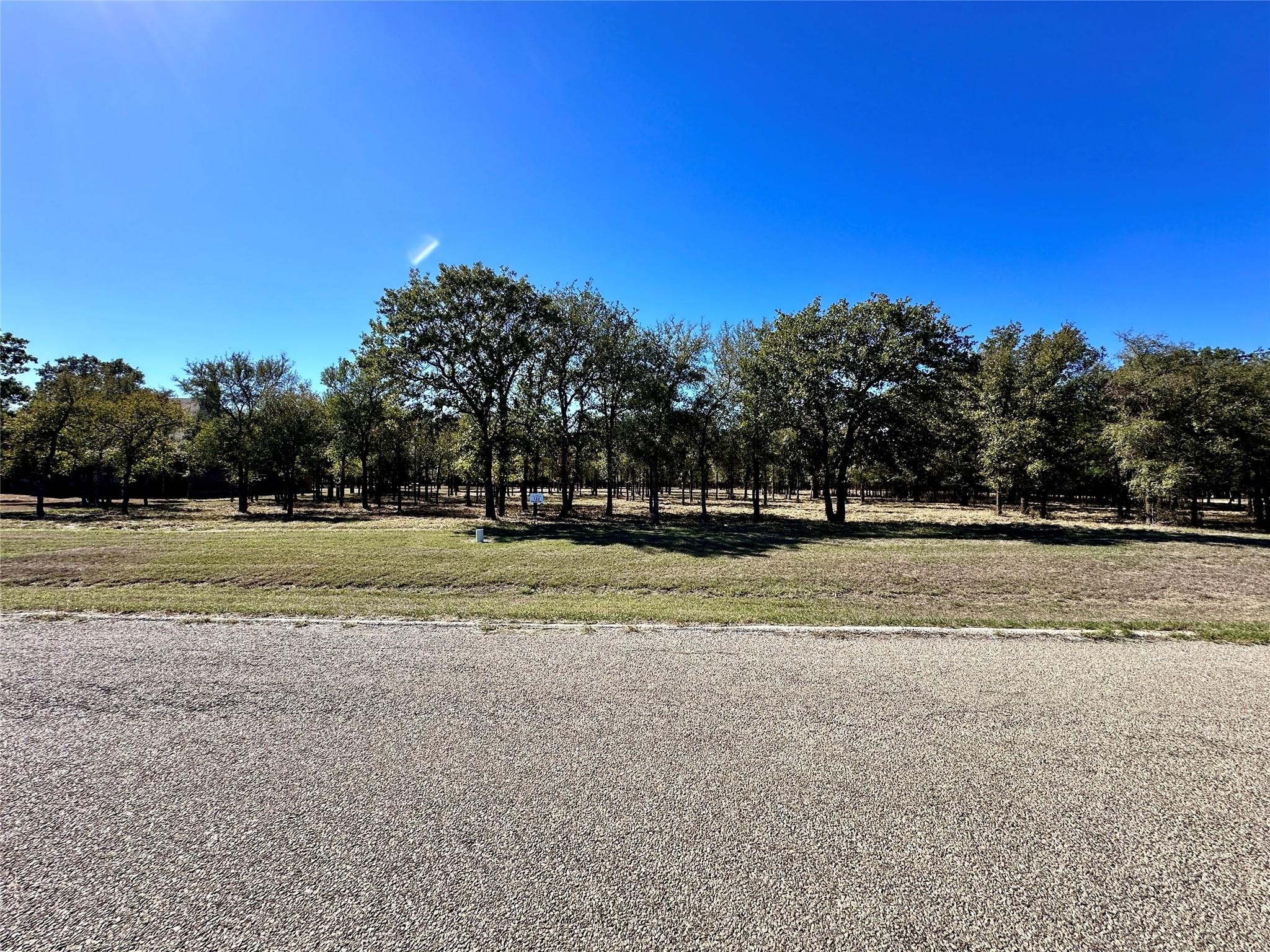 332 Sugartree Circle Lipan TX 76462