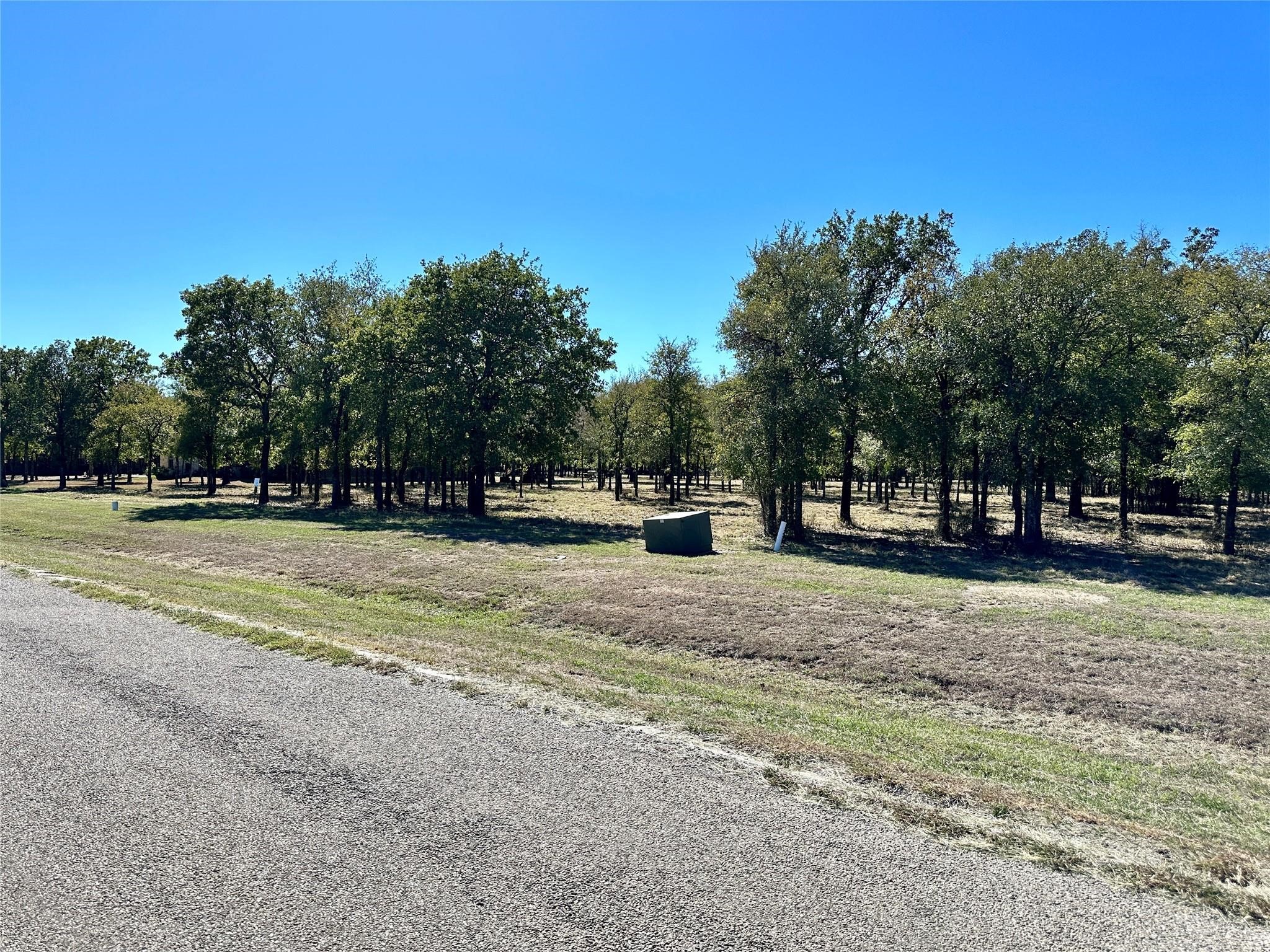 332 Sugartree Circle Lipan TX 76462
