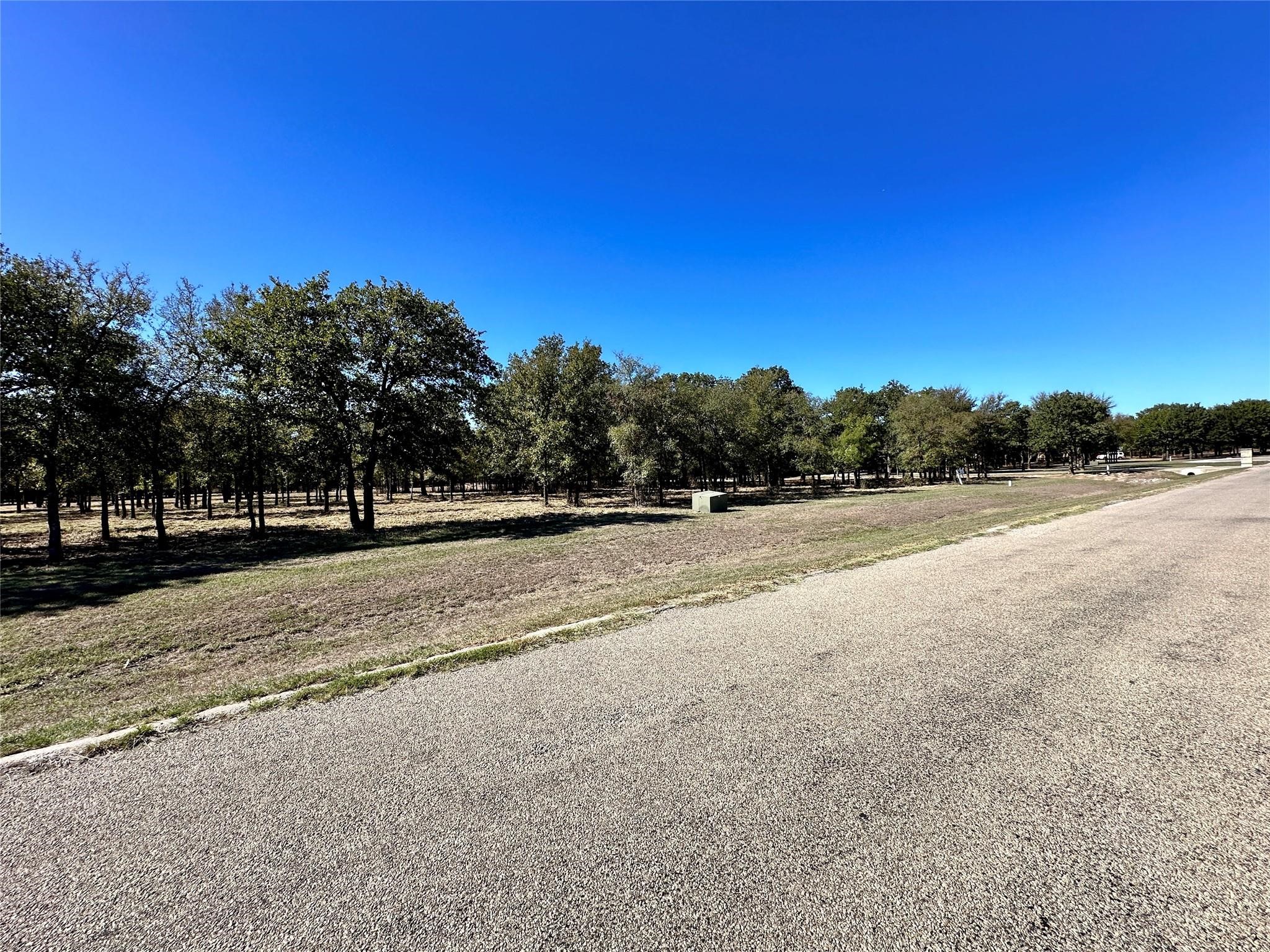 332 Sugartree Circle Lipan TX 76462