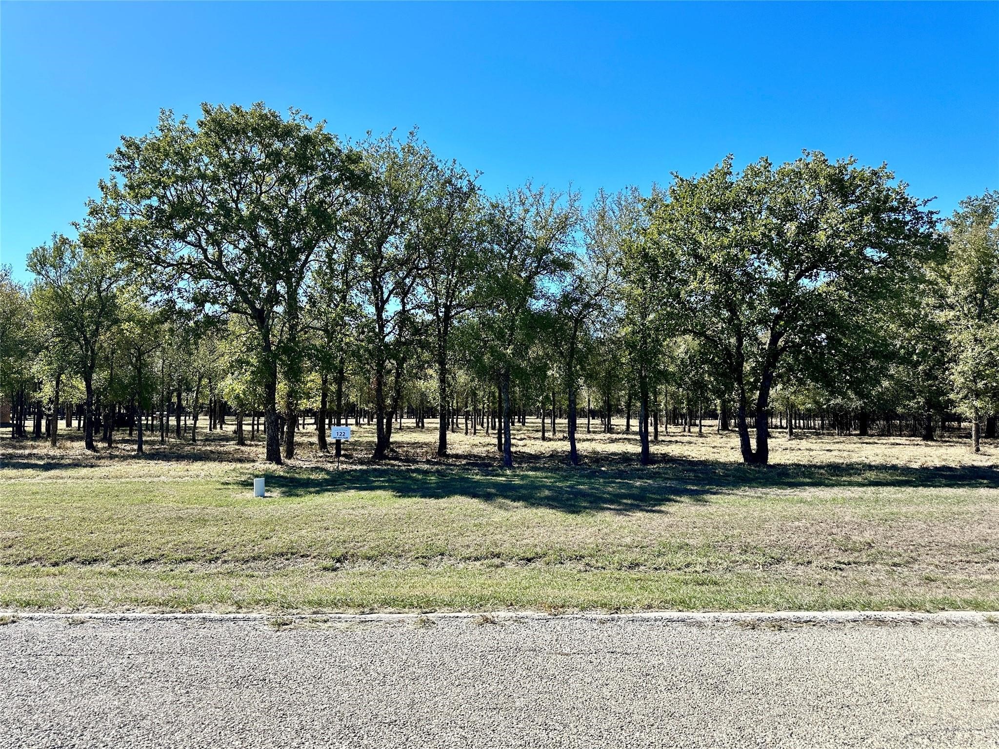 332 Sugartree Circle Lipan TX 76462