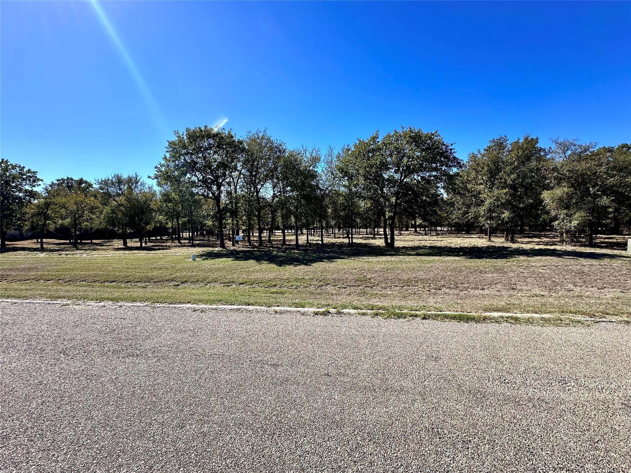 332 Sugartree Circle Lipan TX 76462