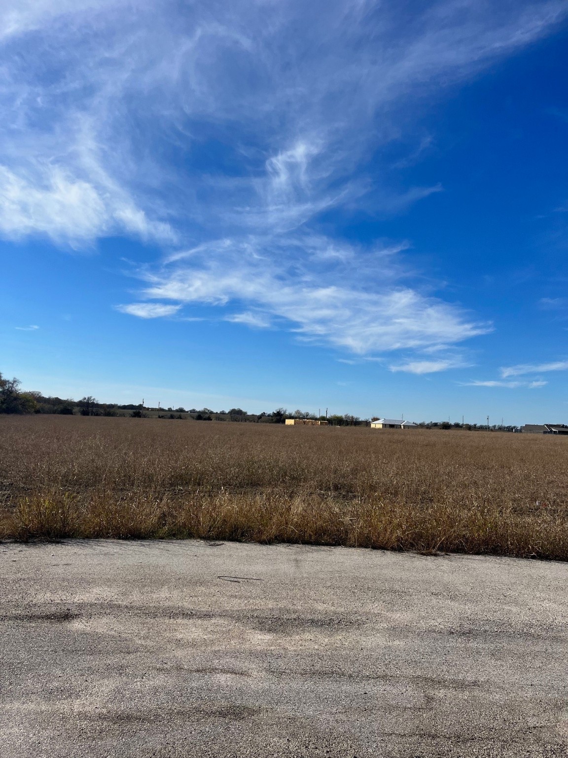260 Chambers Creek Trail Alvarado TX 76009