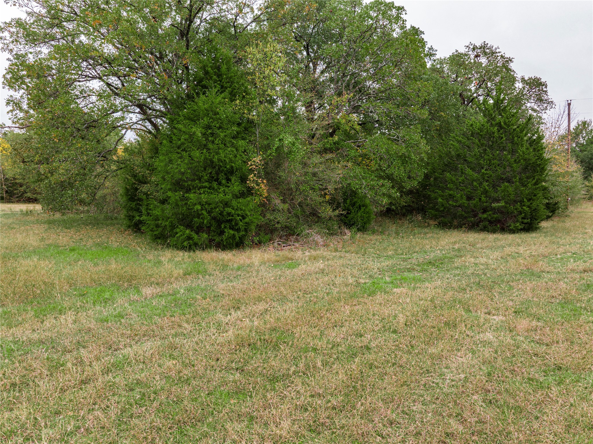 Tbd Street Highway 274 Trinidad TX 75163