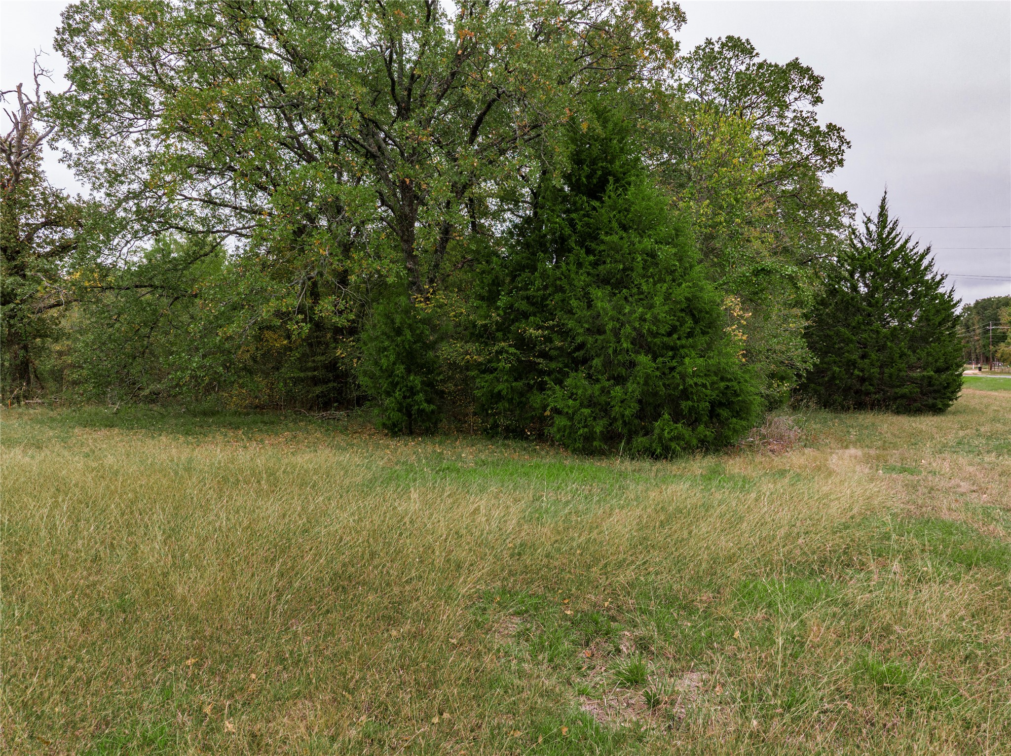 Tbd Street Highway 274 Trinidad TX 75163
