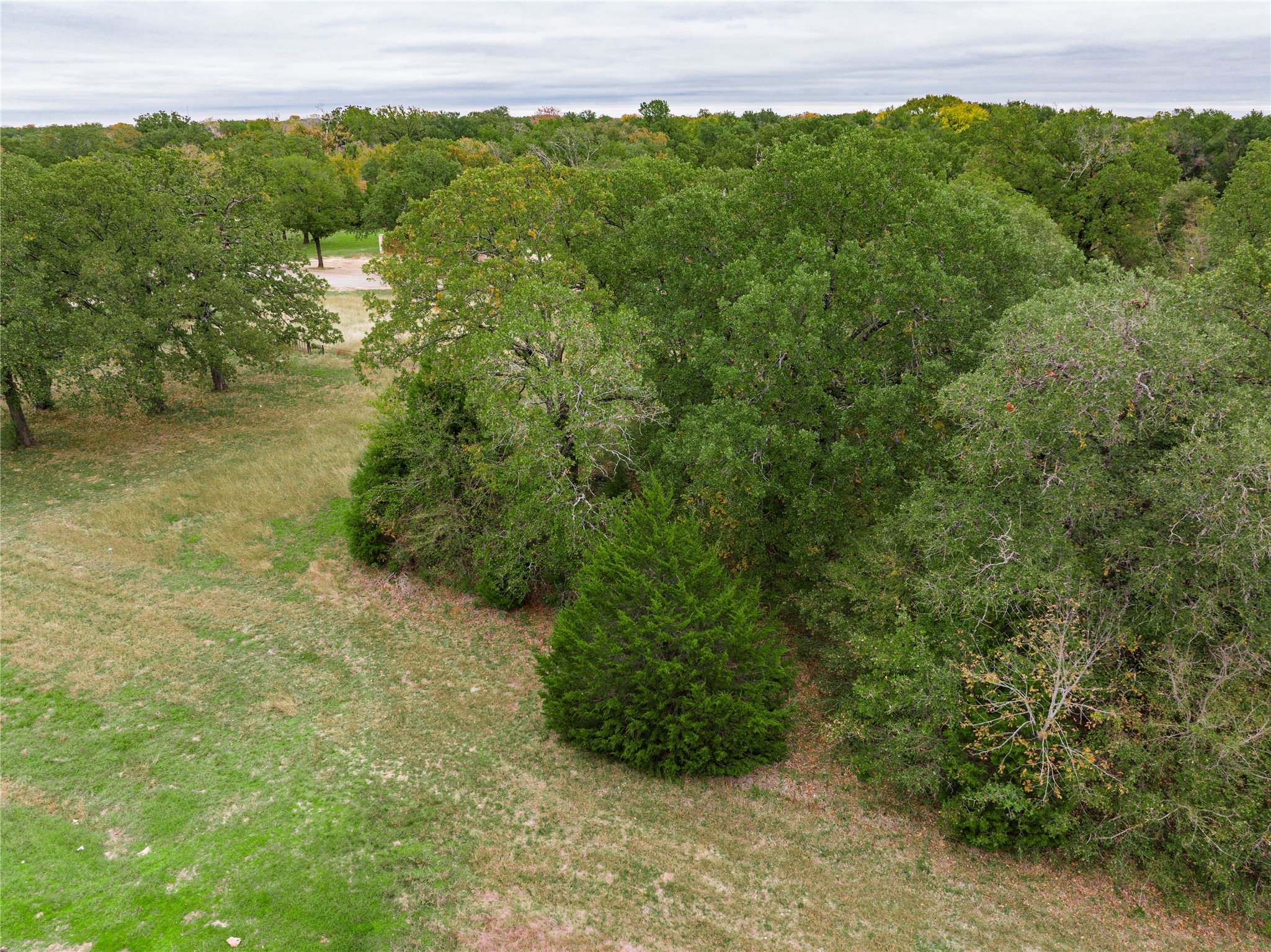 Tbd Street Highway 274 Trinidad TX 75163