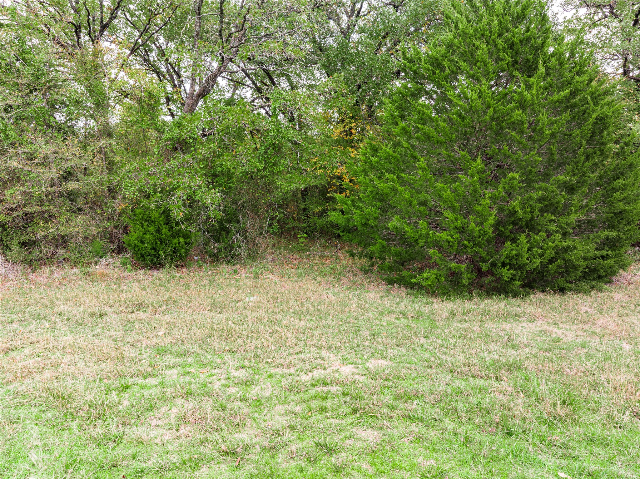 Tbd Street Highway 274 Trinidad TX 75163