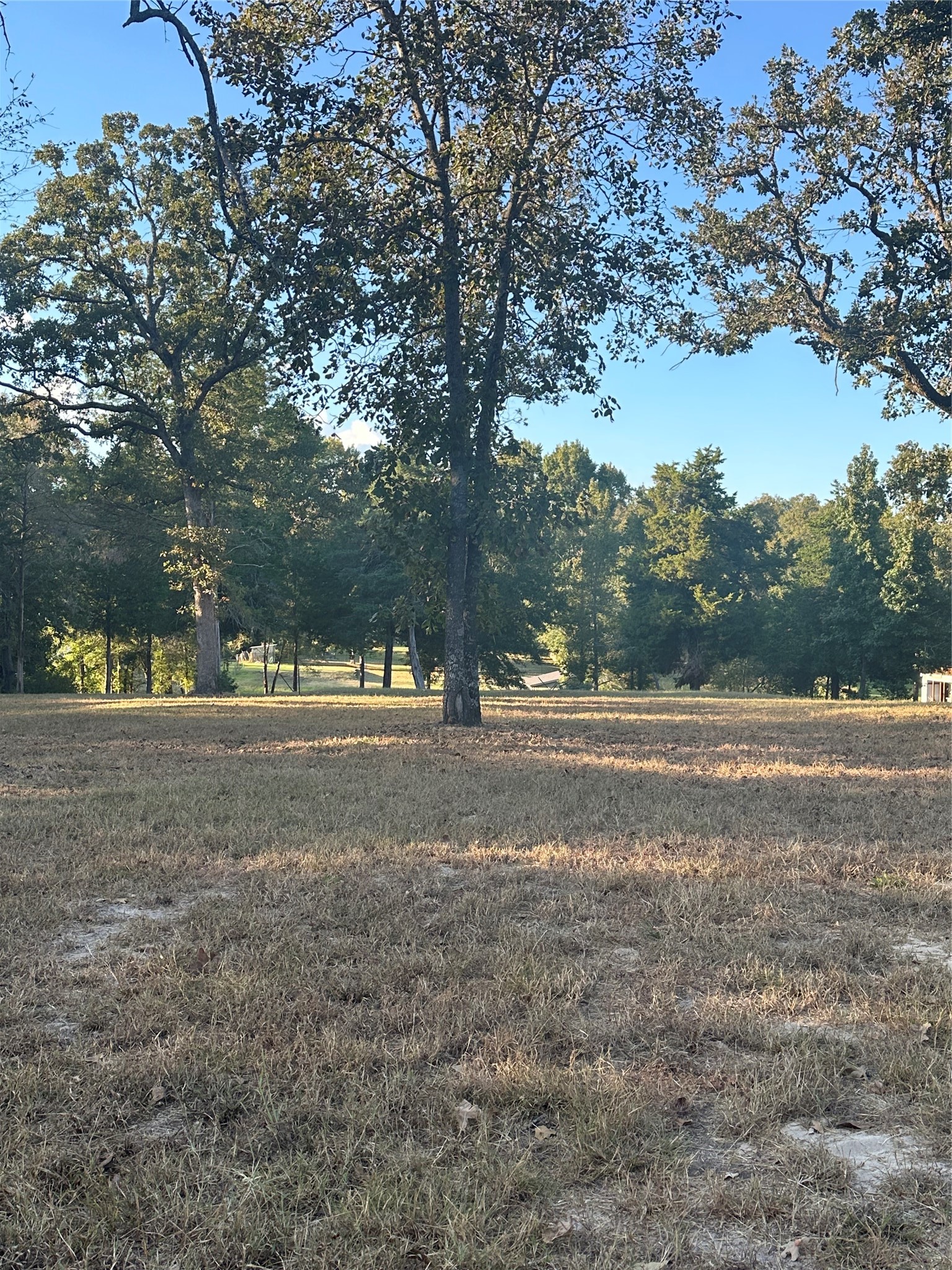5331 Impala South Road Athens TX 75752