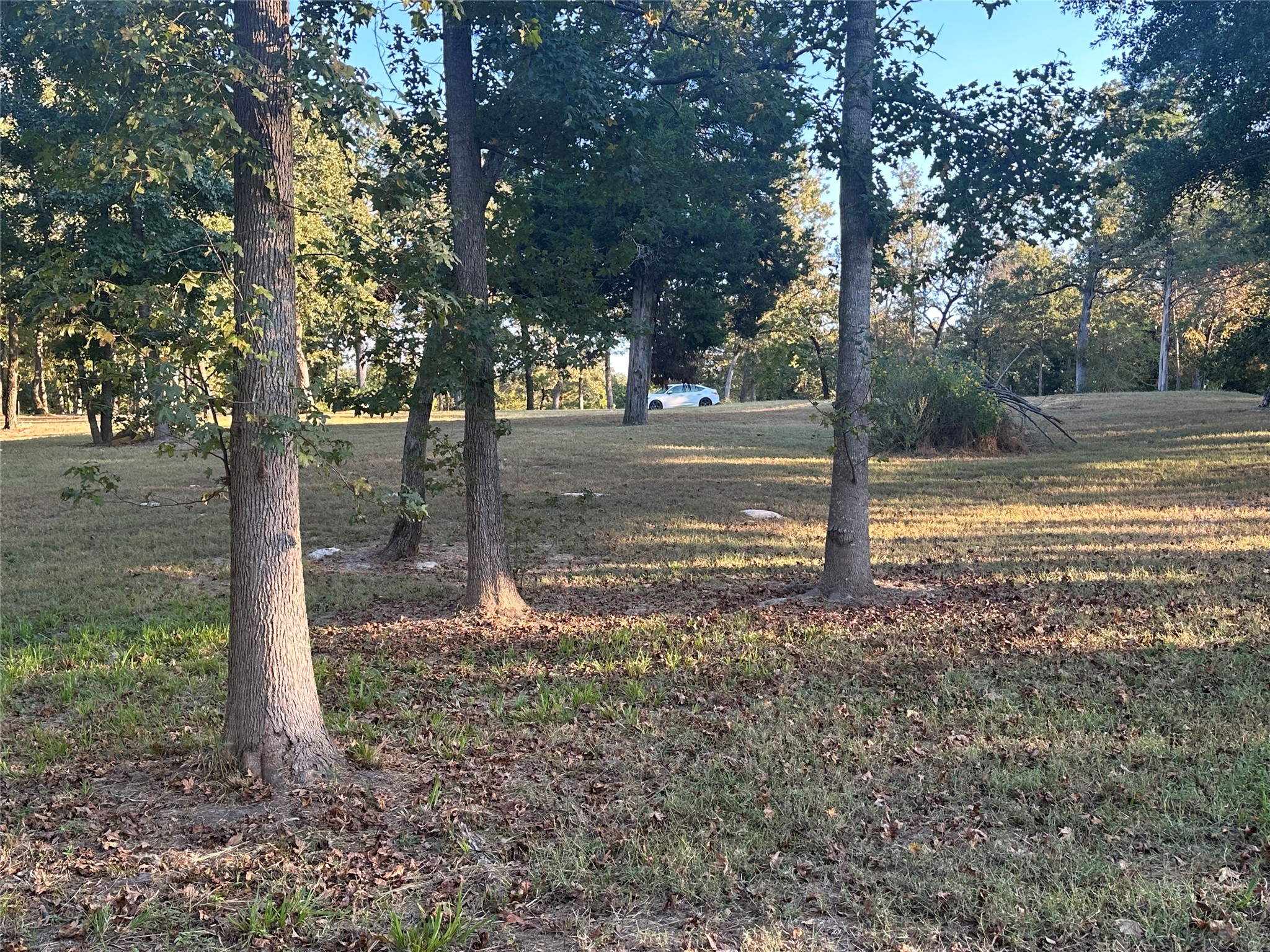 5331 Impala South Road Athens TX 75752