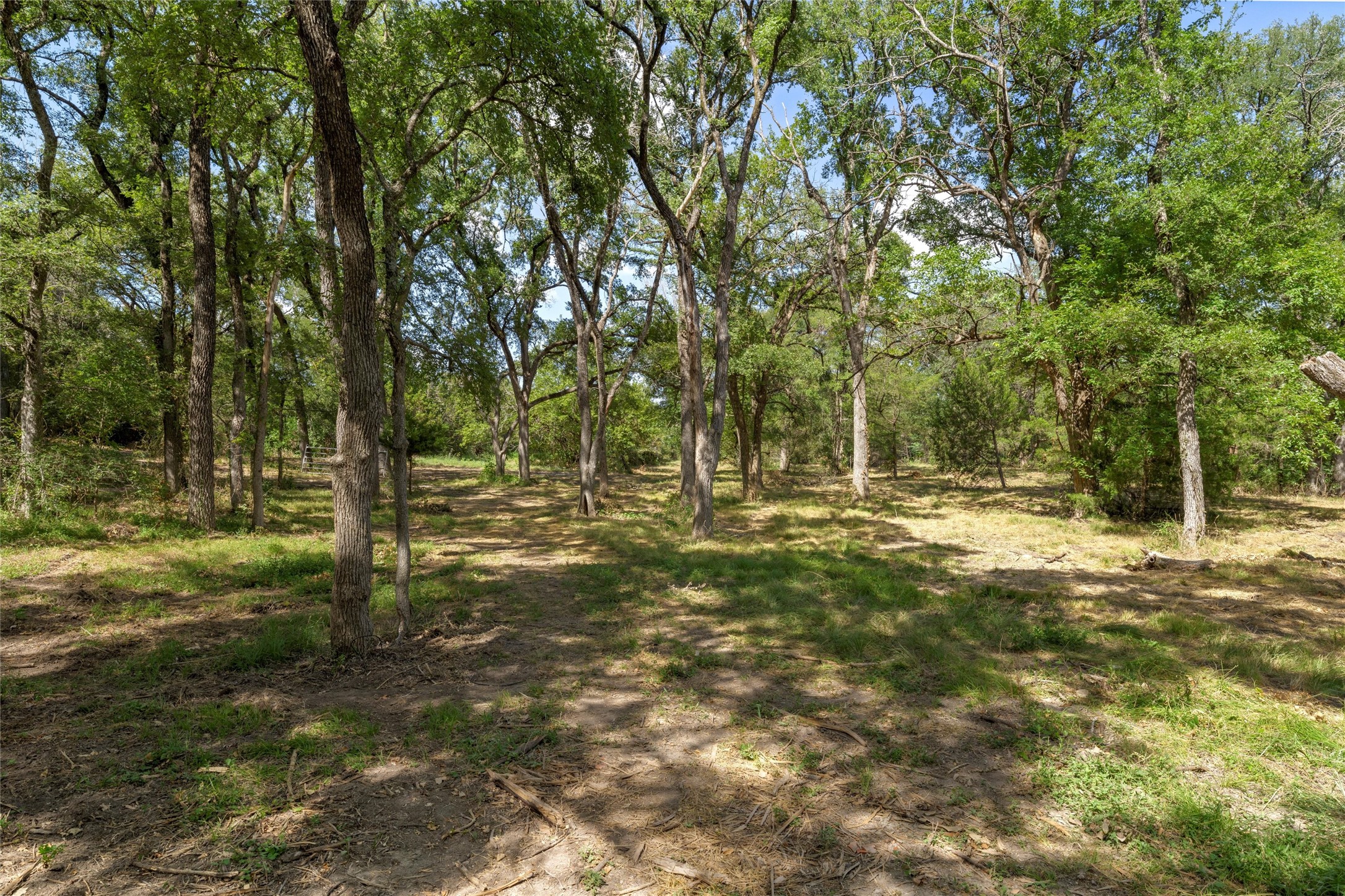 1044 Audrey Avenue Waco TX 76705