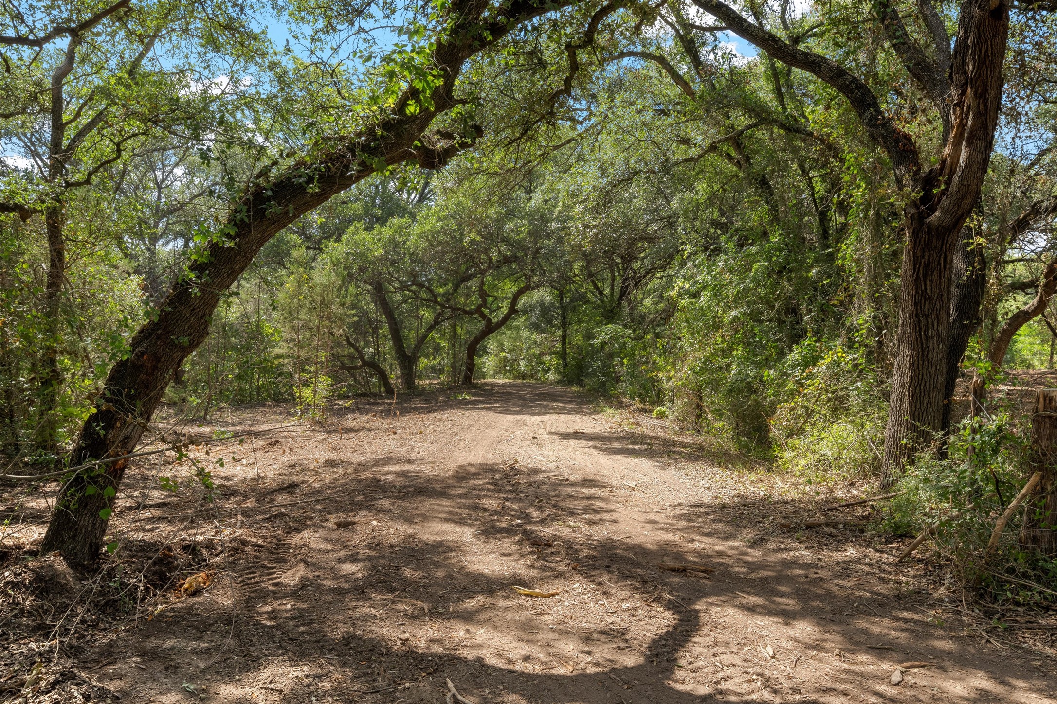 1044 Audrey Avenue Waco TX 76705
