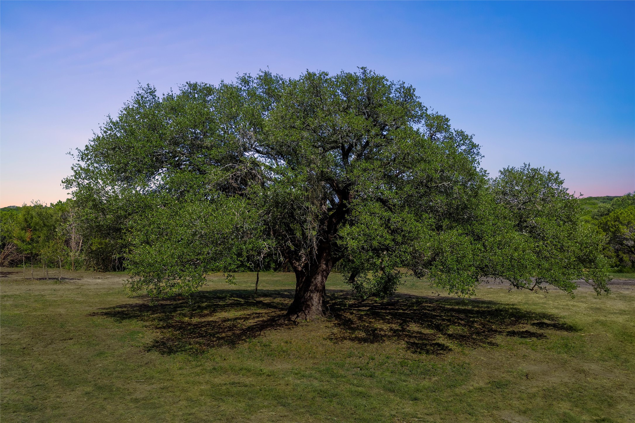 1044 Audrey Avenue Waco TX 76705