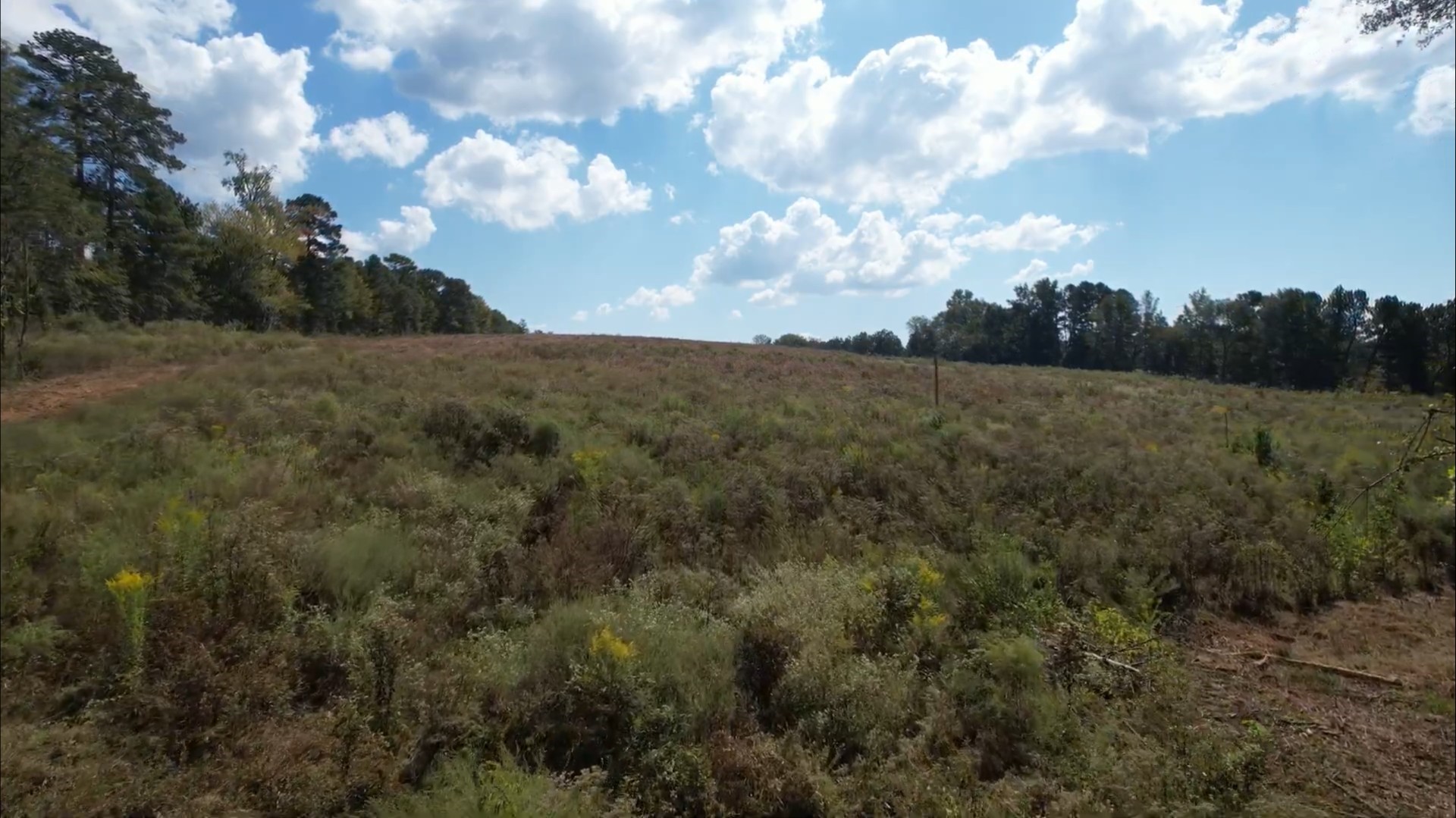 Tbd-c County Road 4172d Laneville TX 75667