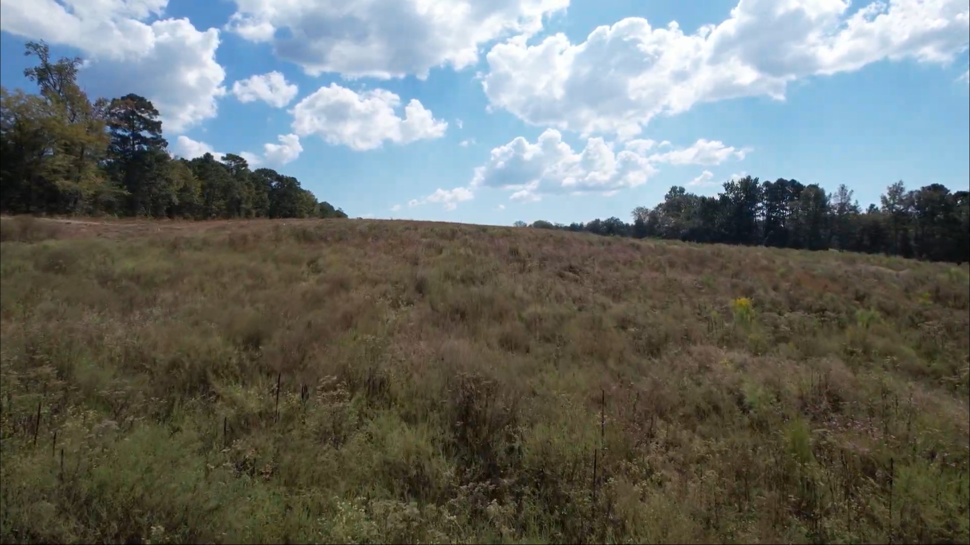 Tbd-c County Road 4172d Laneville TX 75667