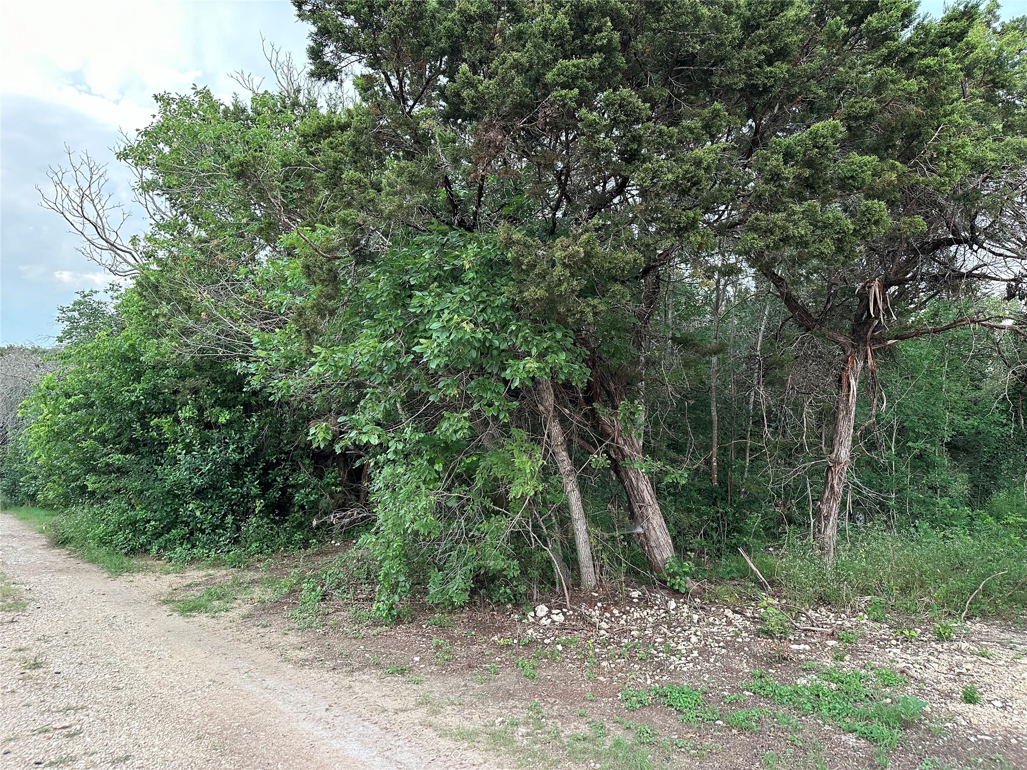 Tbd Barnacle Whitney TX 76692