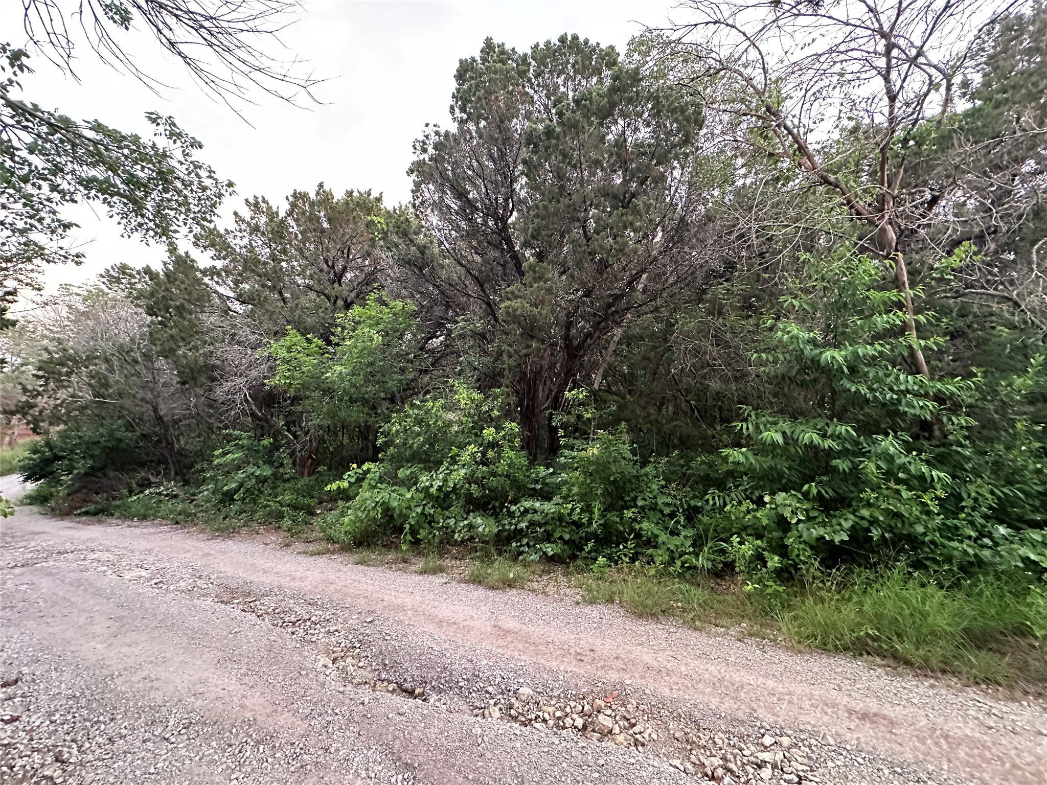 Tbd Barnacle Whitney TX 76692