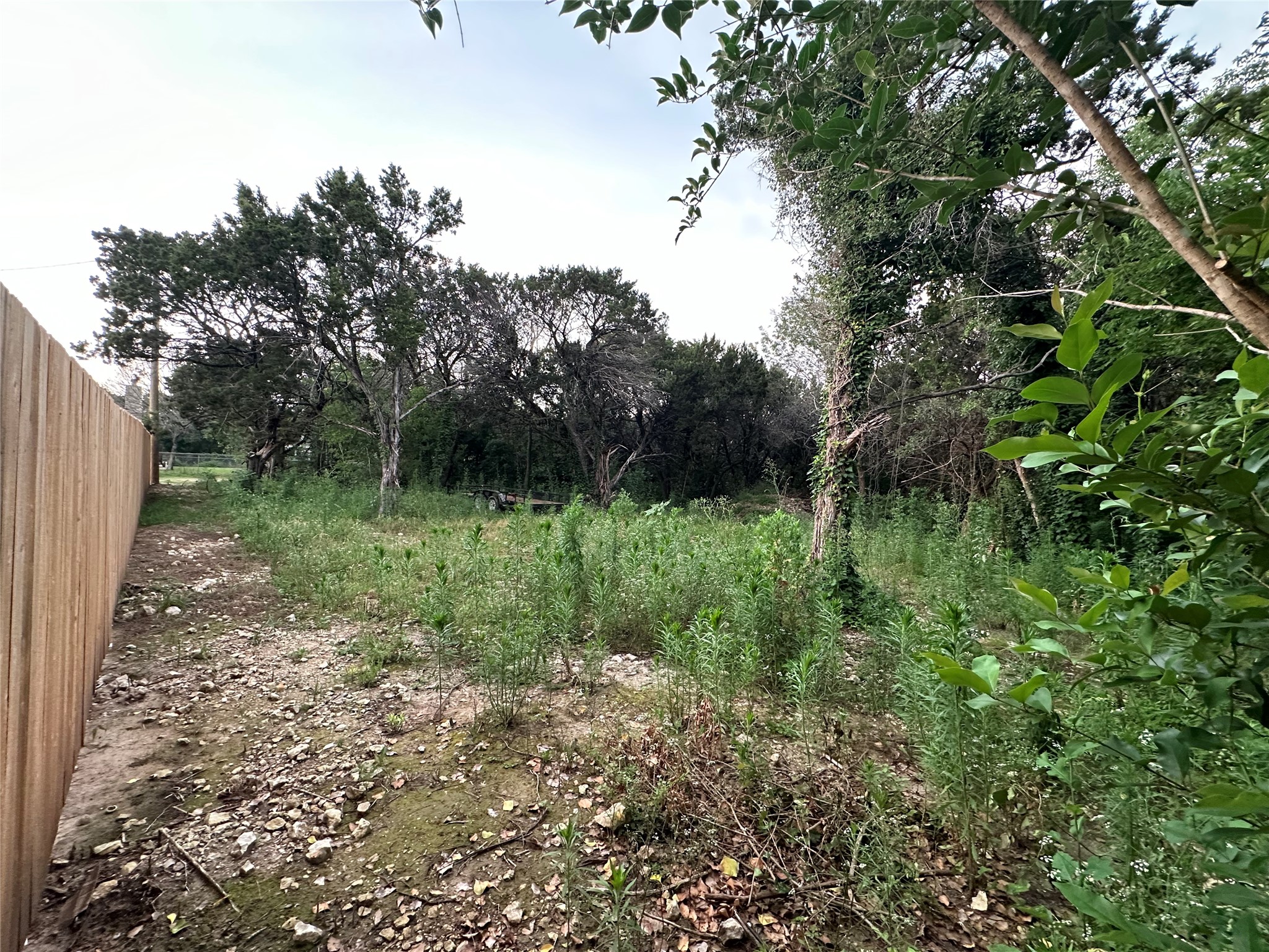 Tbd Barnacle Whitney TX 76692