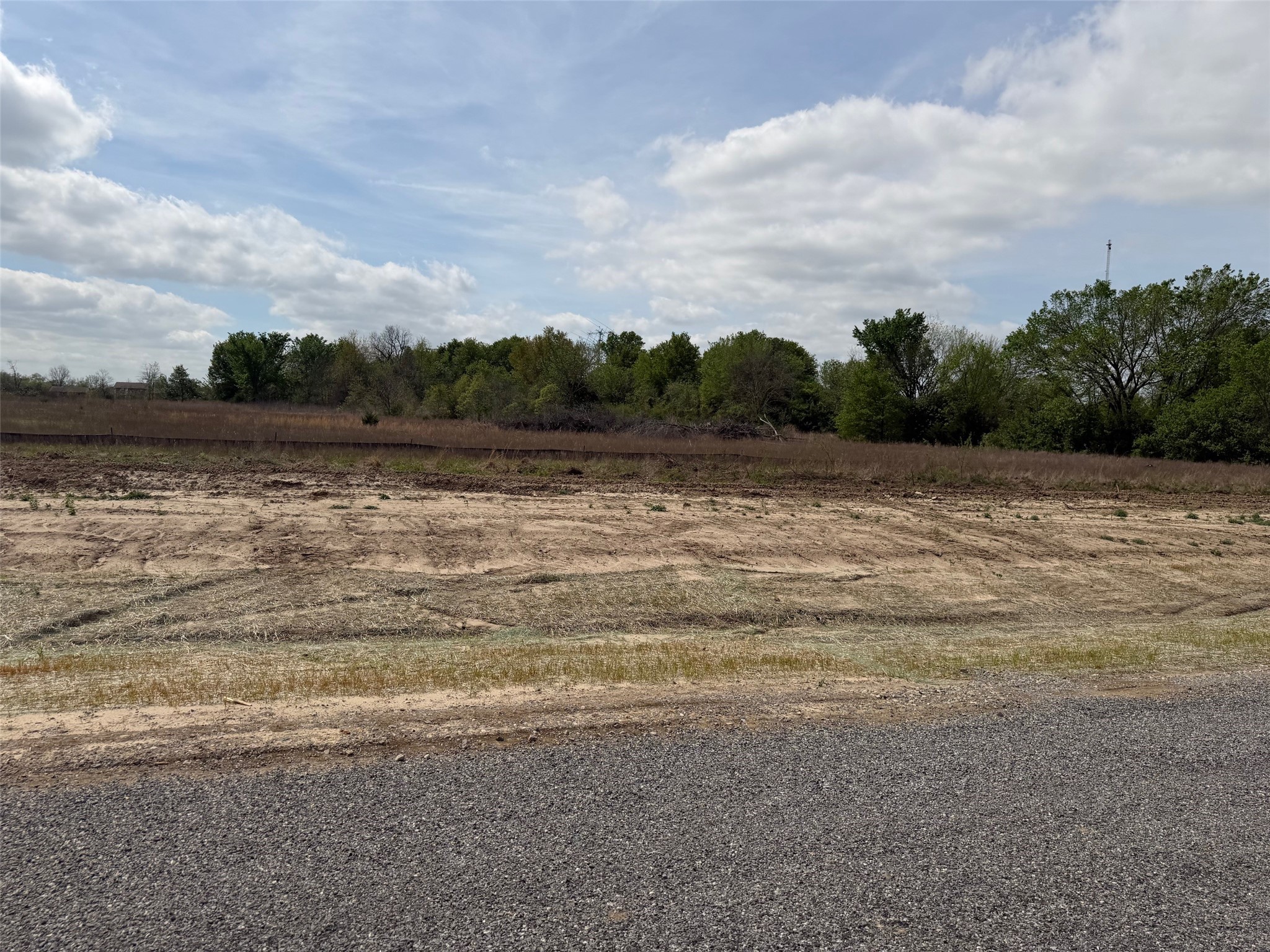 Lot 3 County Road 1110 Farmersville TX 75442