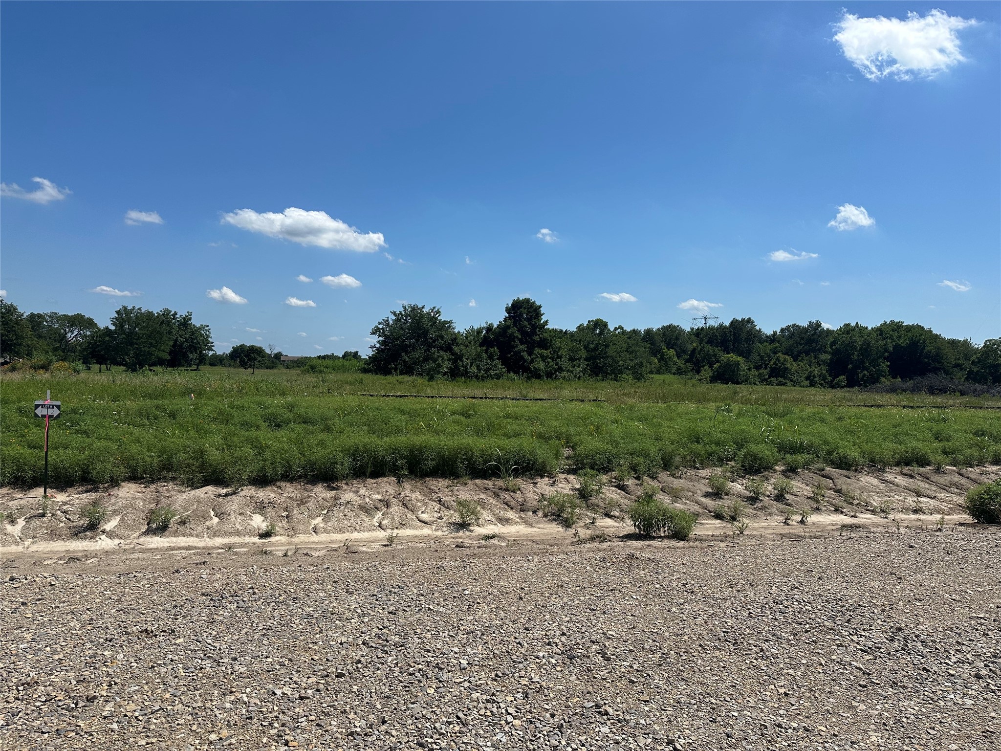 Lot 3 County Road 1110 Farmersville TX 75442