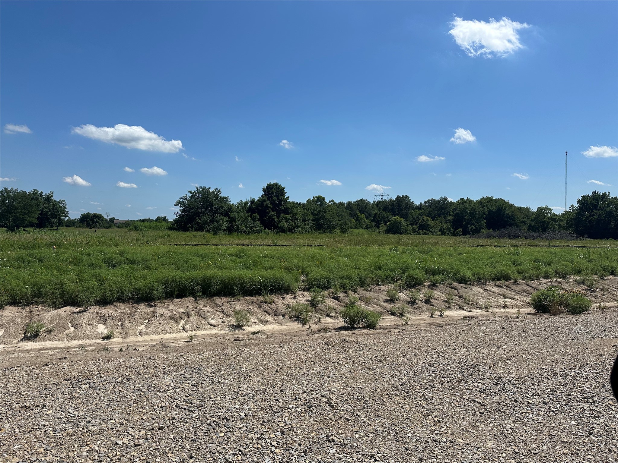 Lot 3 County Road 1110 Farmersville TX 75442
