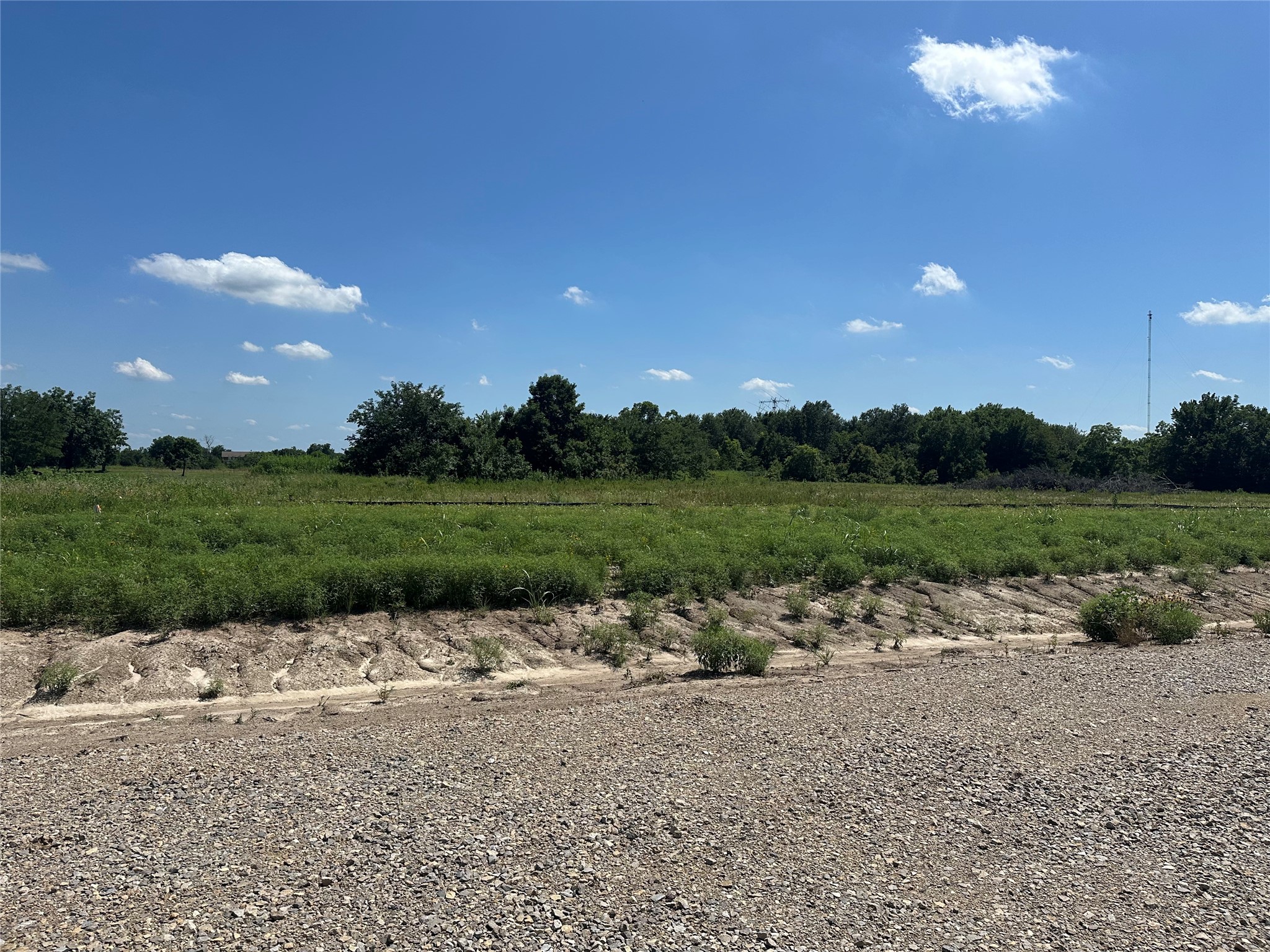 Lot 3 County Road 1110 Farmersville TX 75442