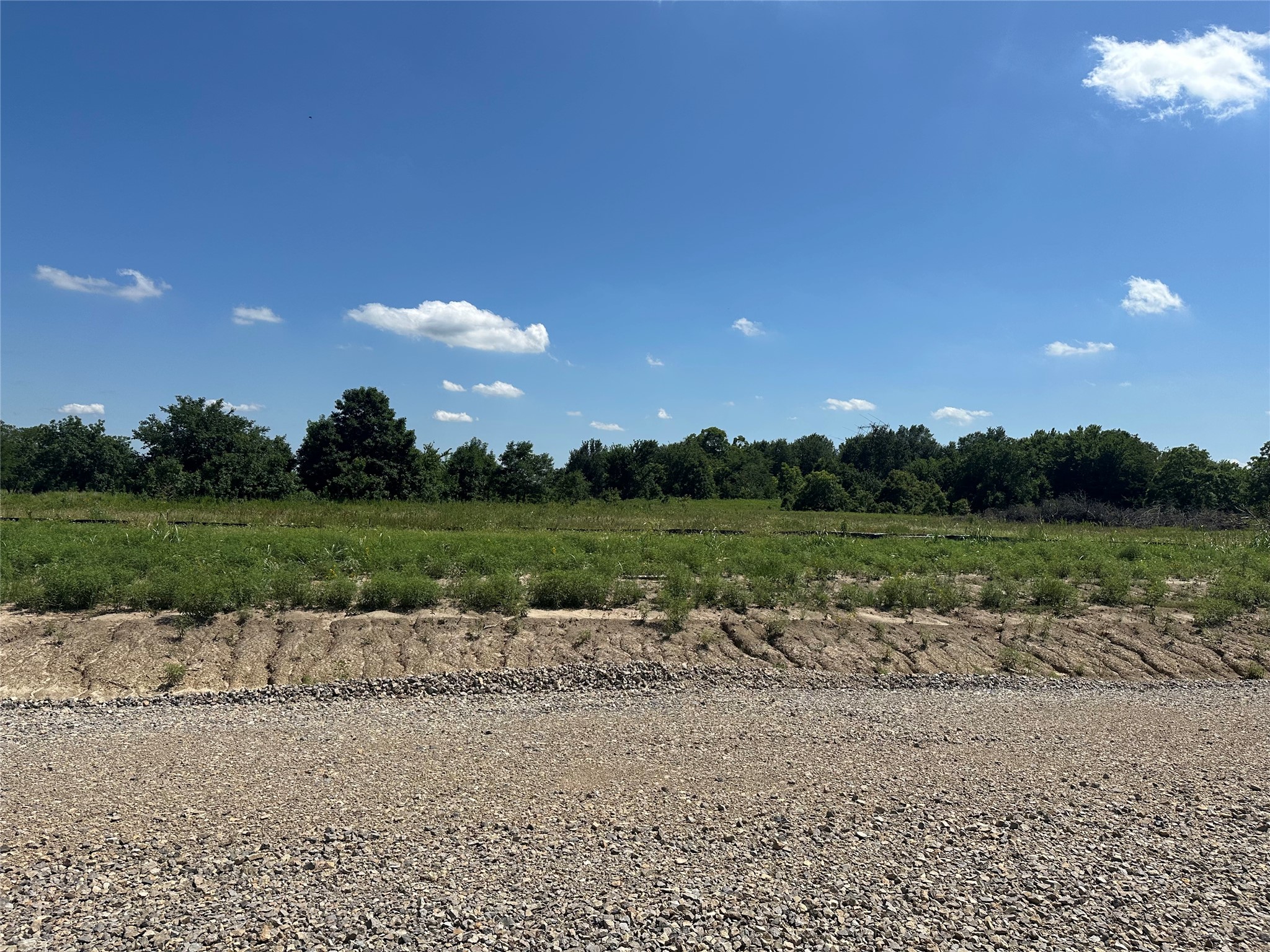Lot 3 County Road 1110 Farmersville TX 75442