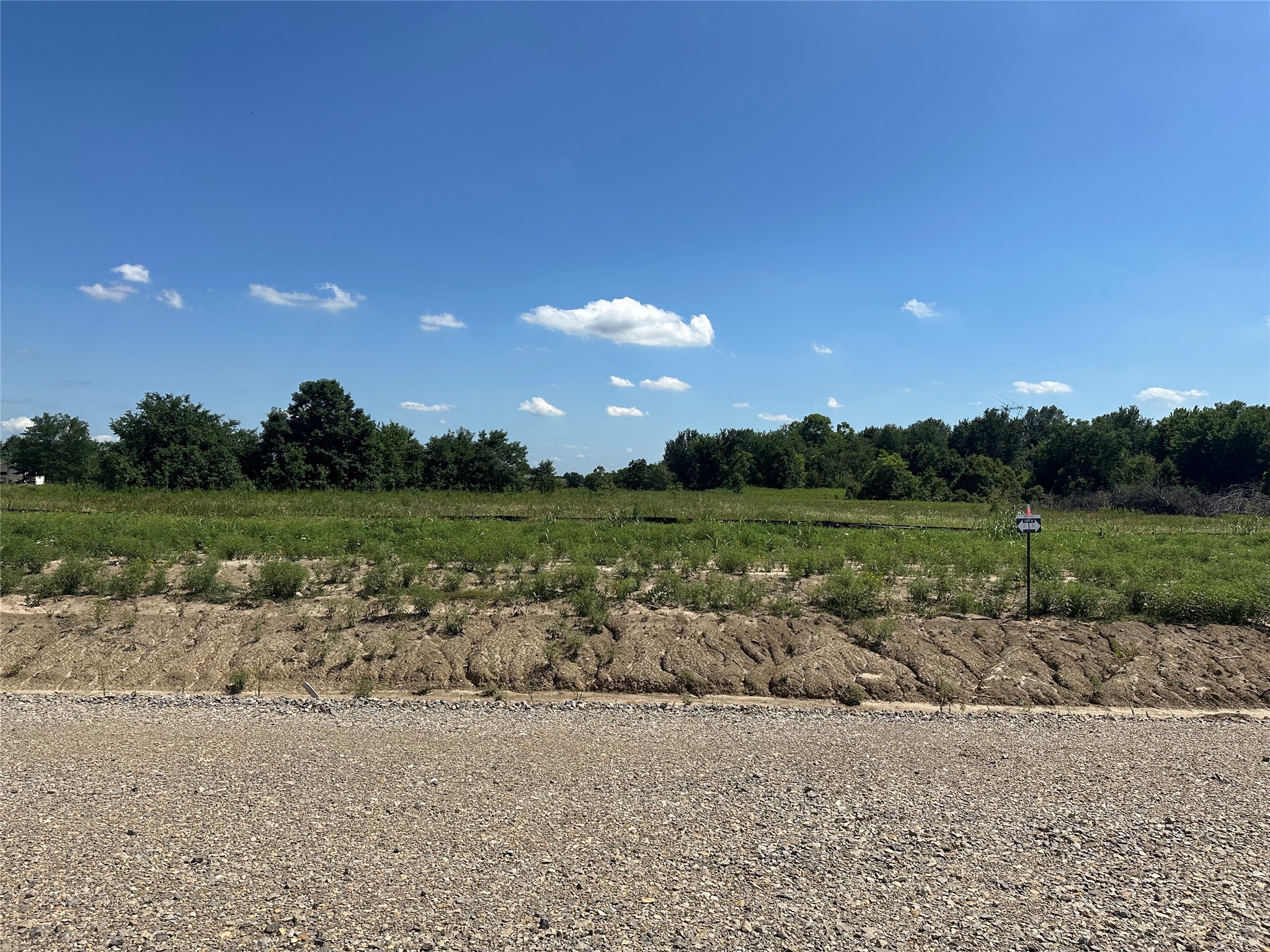 Lot 3 County Road 1110 Farmersville TX 75442