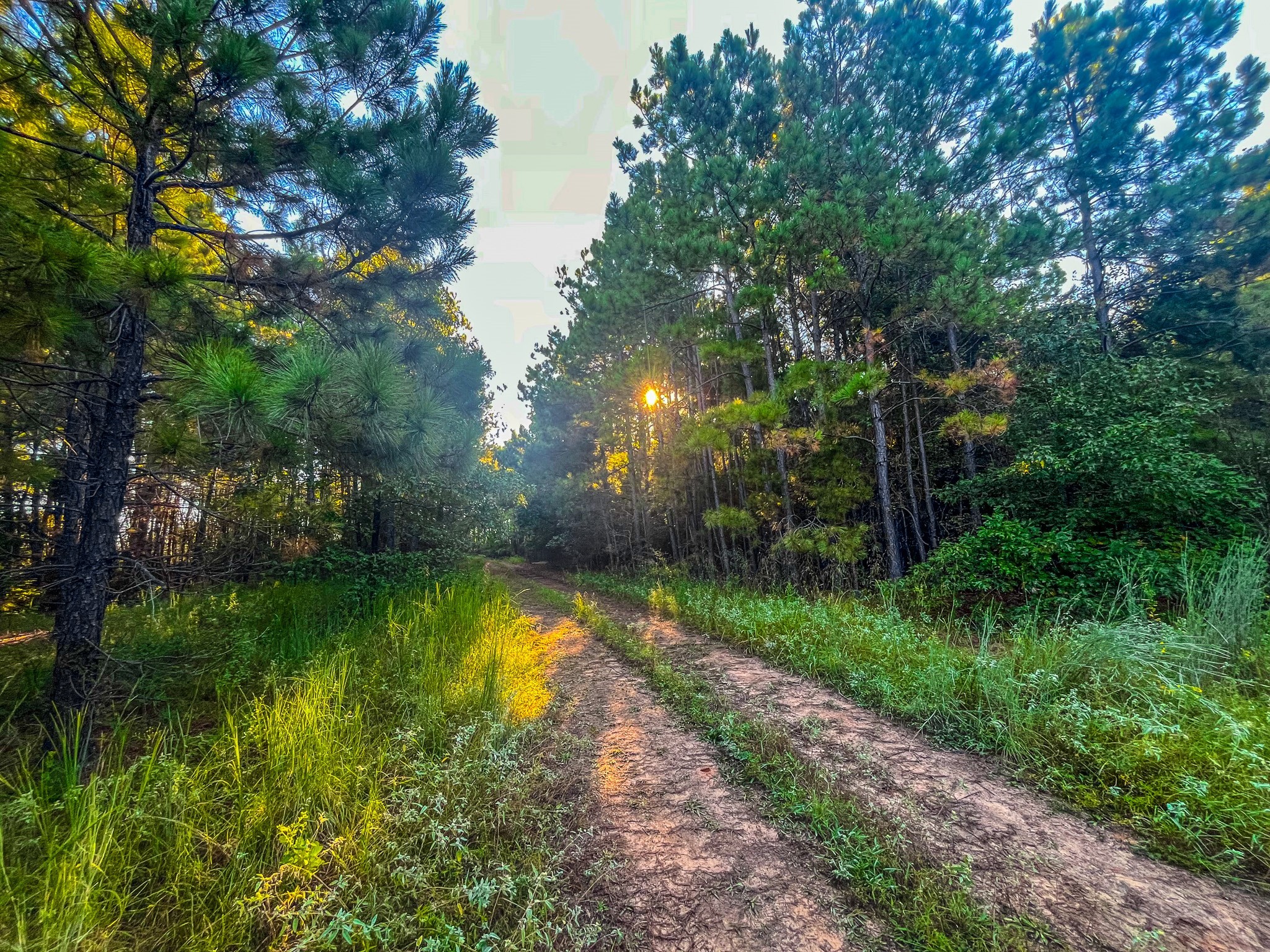 00 W Us Highway 175 Jacksonville TX 75766