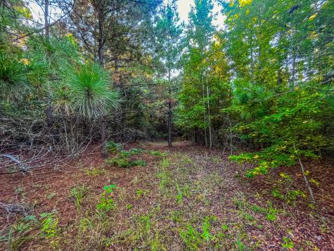 00 W Us Highway 175 Jacksonville TX 75766